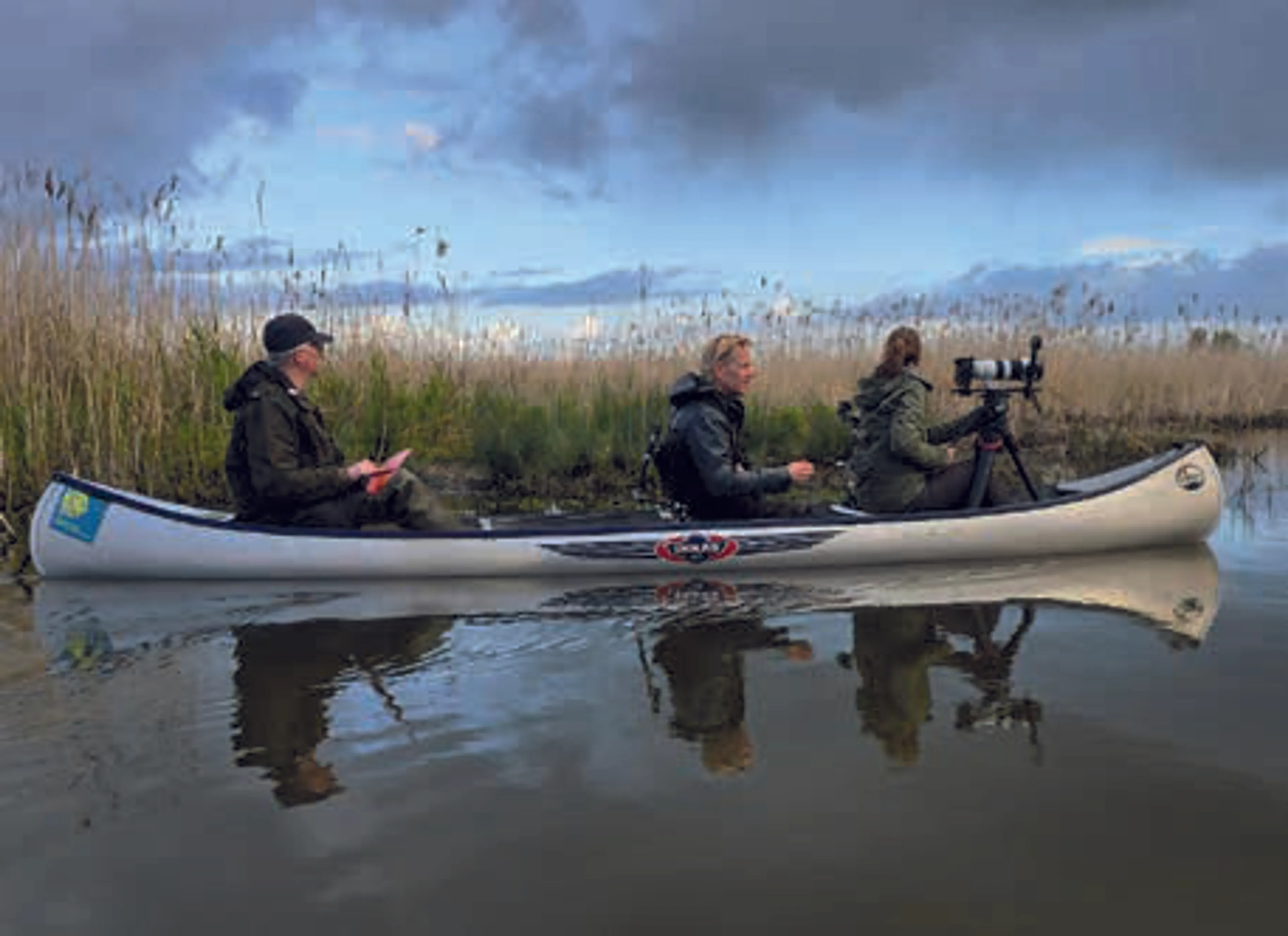 Vogels spotten op de Oostvaardersdijk
