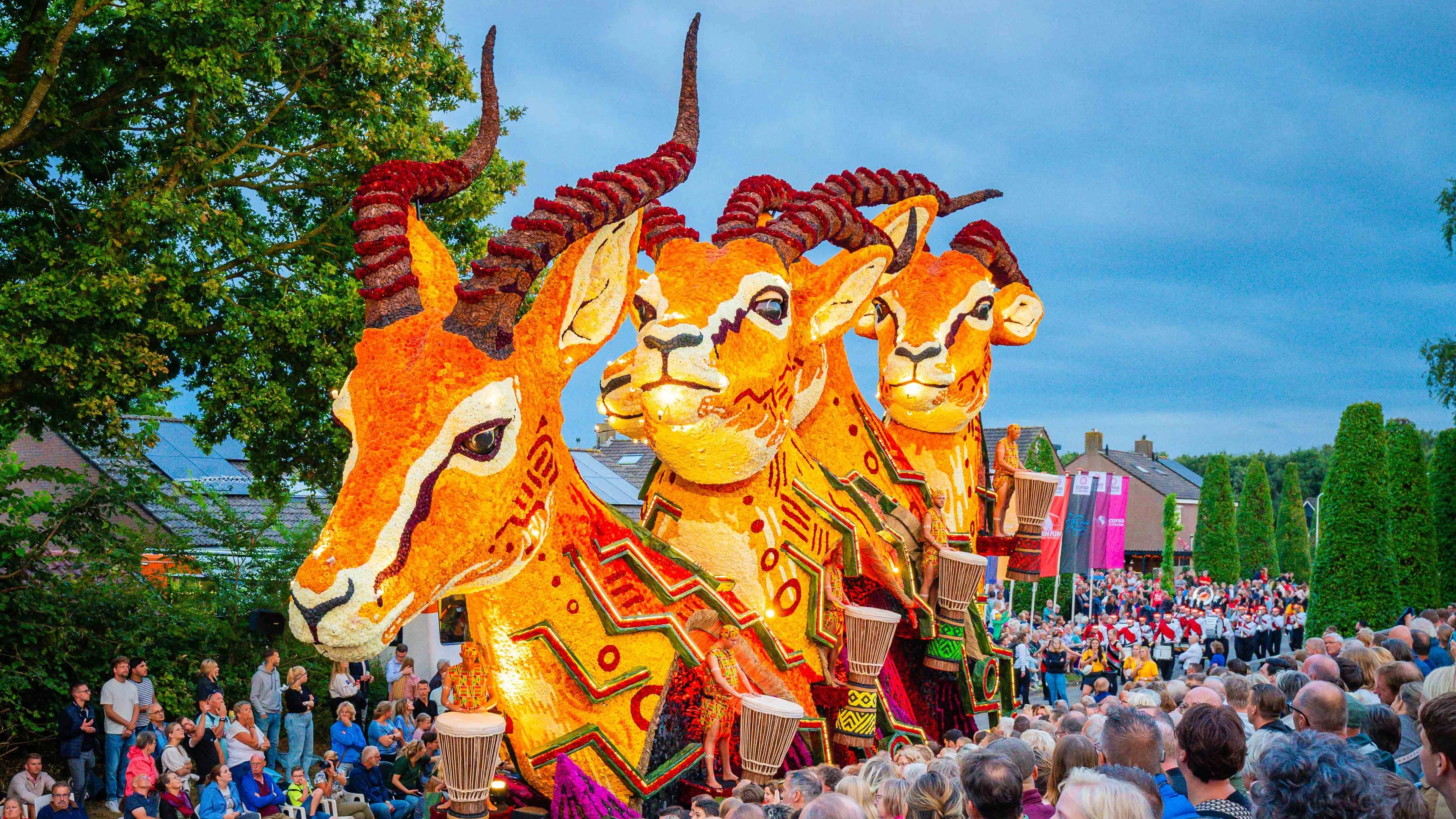 Uitgelichte afbeelding