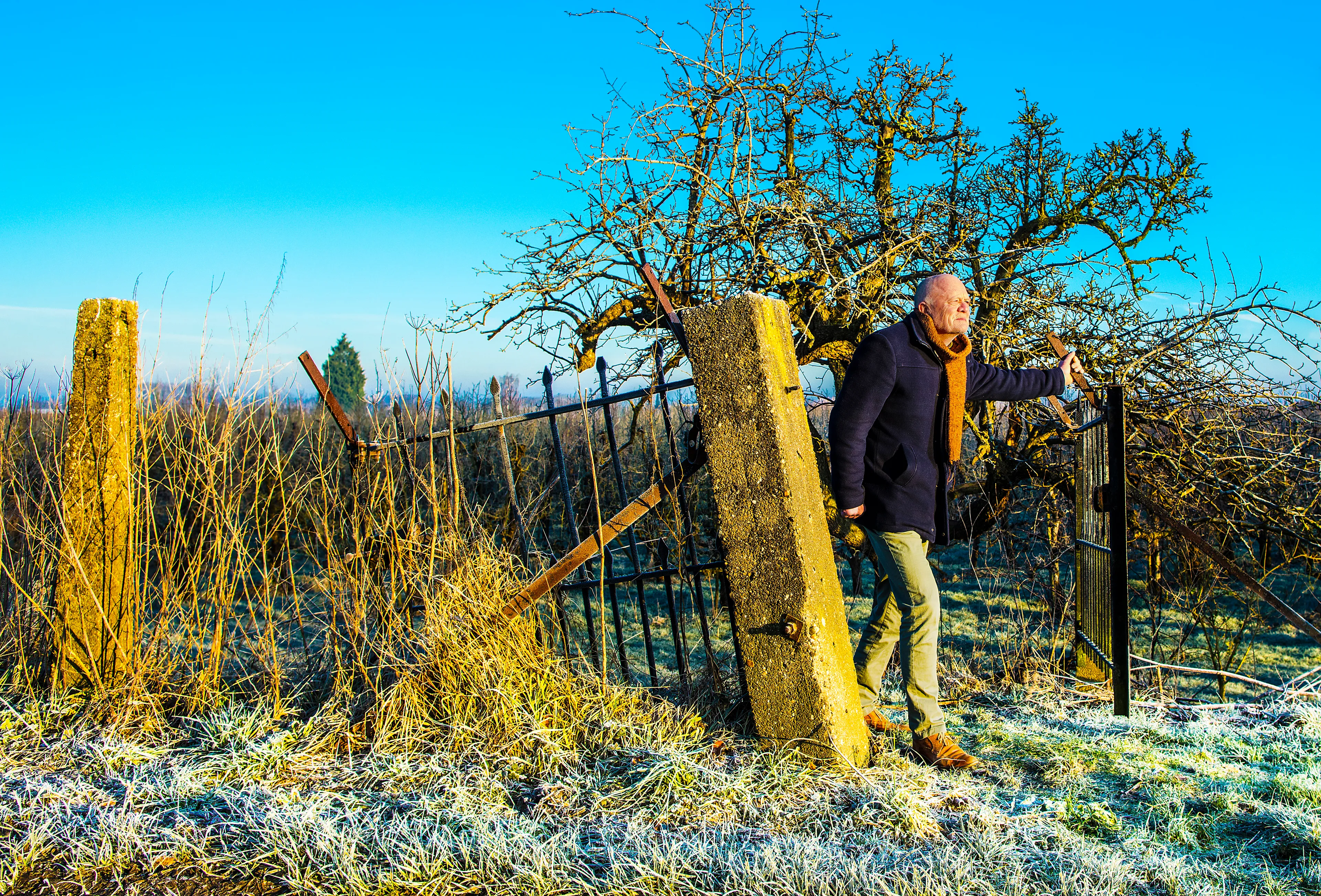 Uitgelichte afbeelding