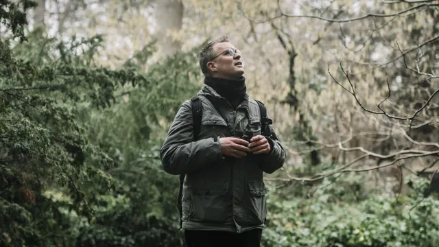 Uitgelichte afbeelding