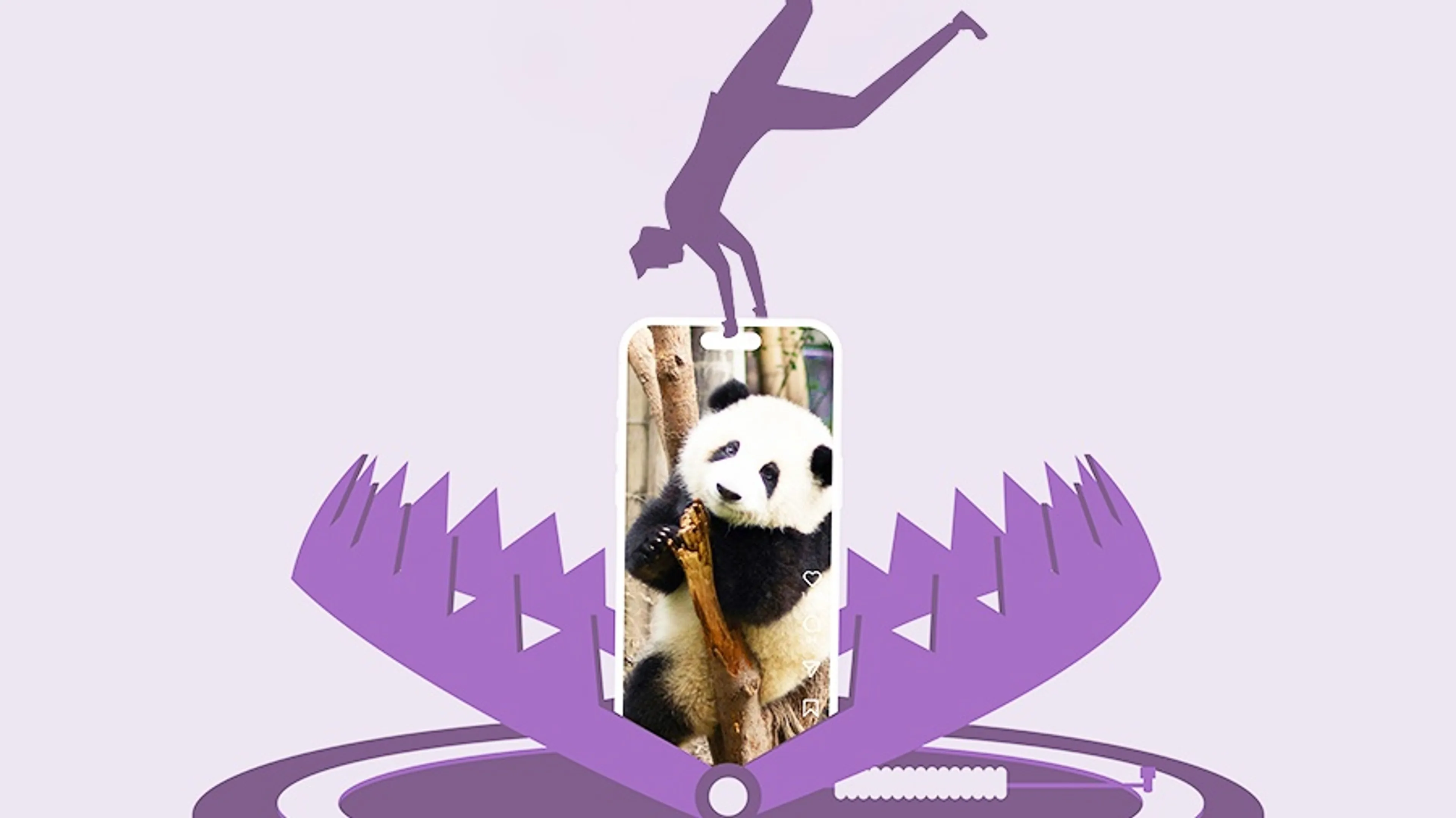 Van pandavideo naar racisme. Hoe snel duwt social media je een bepaalde kant op?