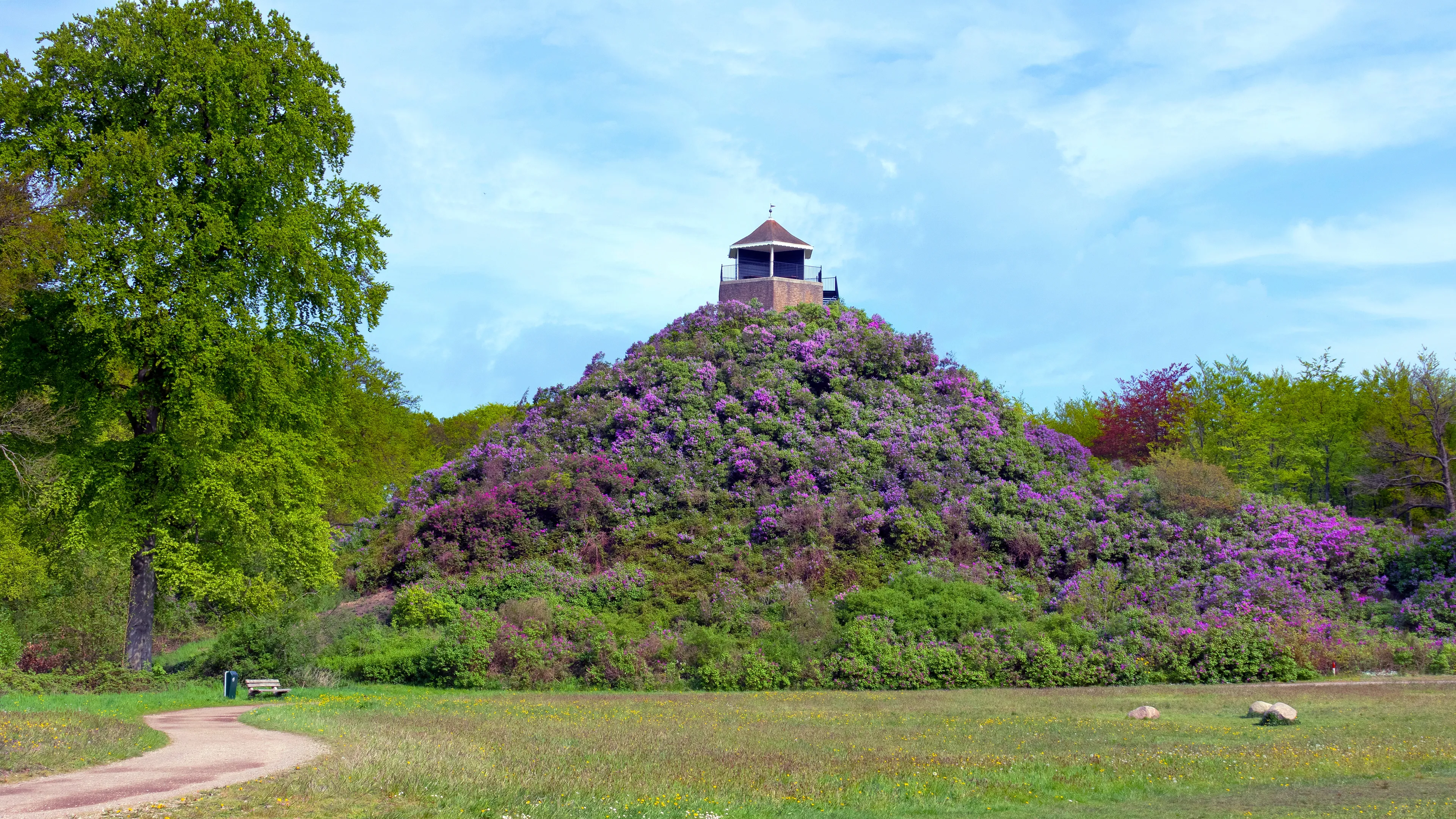 In de voetsporen van de Oranjes: drie koninklijke routes door Nederland
