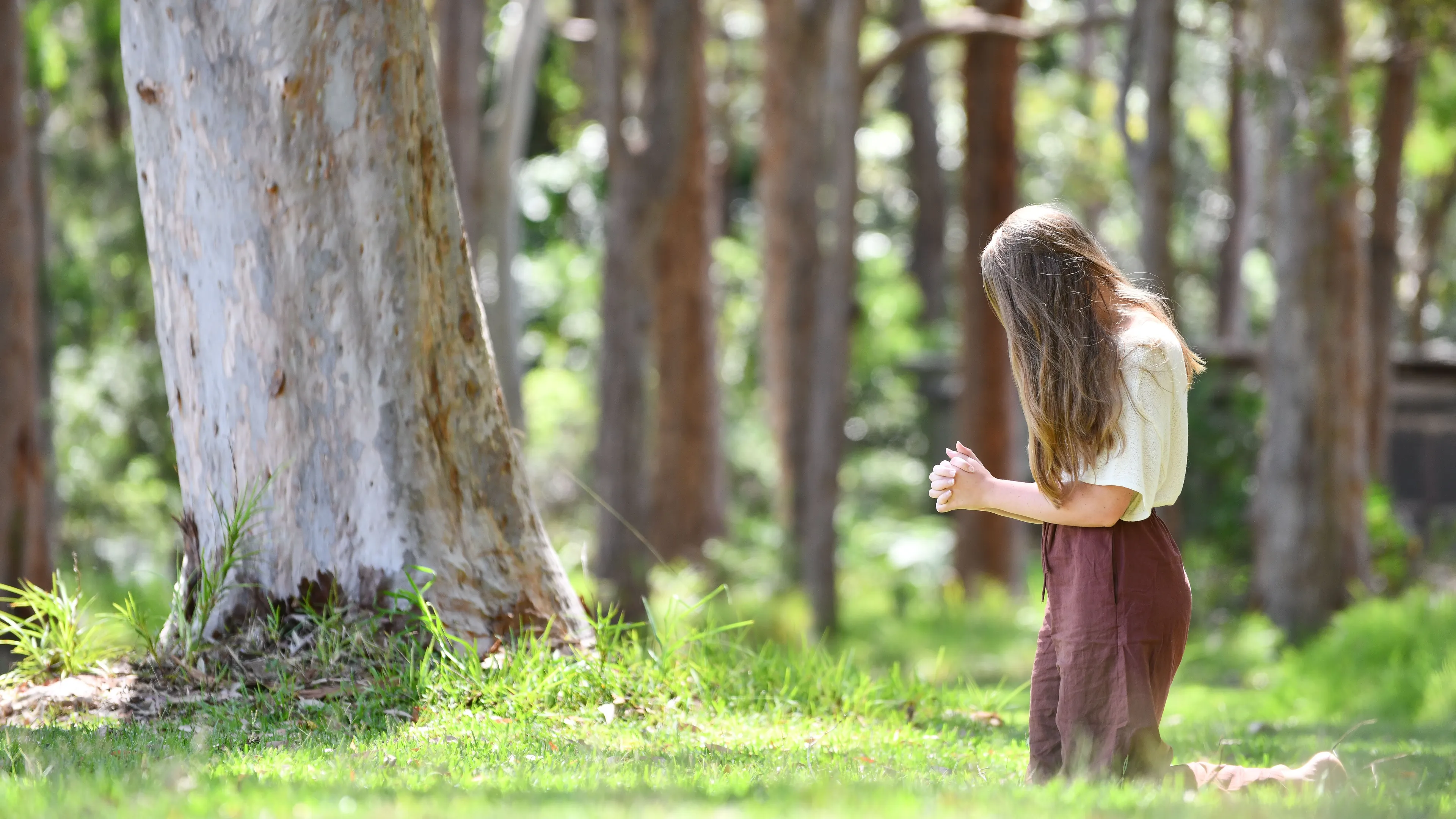 God zoeken in de natuur? Zo helpt een bos, berg of strand je om stil te worden en Hem te ontmoeten