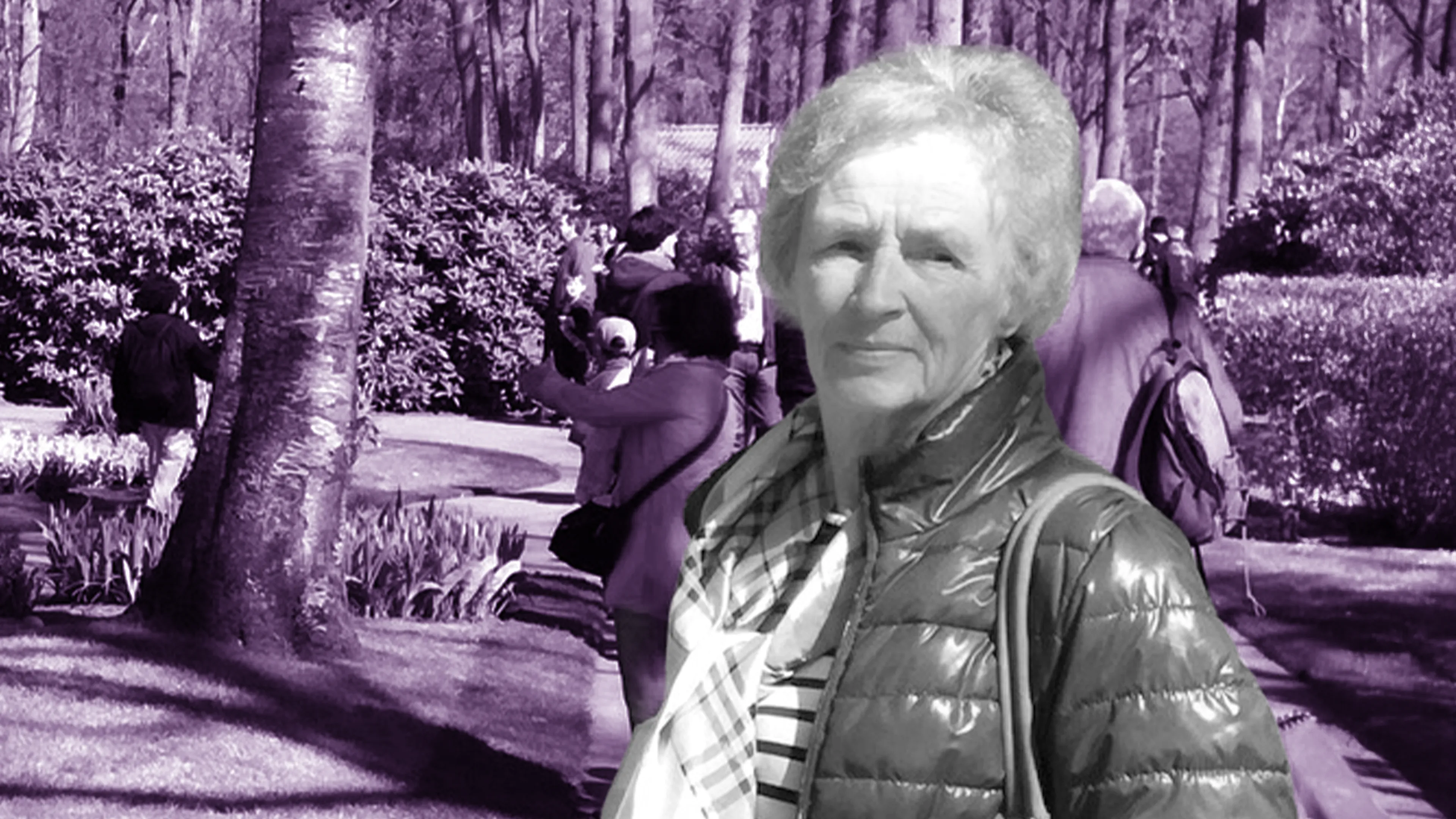 Afbeelding van artikel