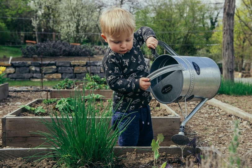 Vijf verrassende tips om jouw tuin nieuw leven in te blazen