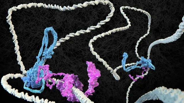 Uitgelichte afbeelding