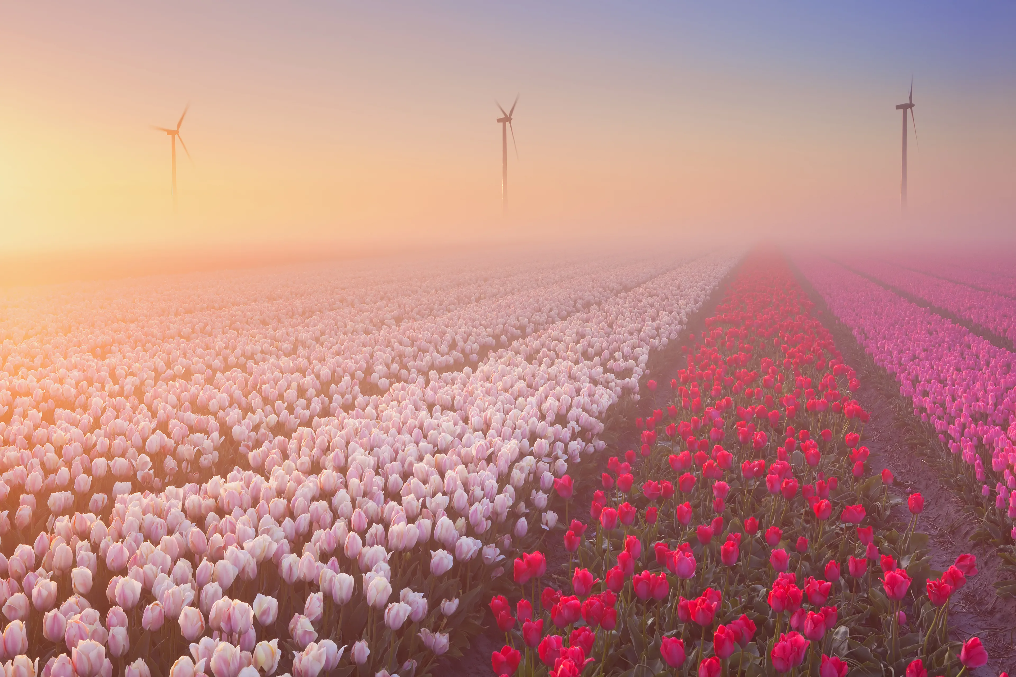 Tips voor paasactiviteiten