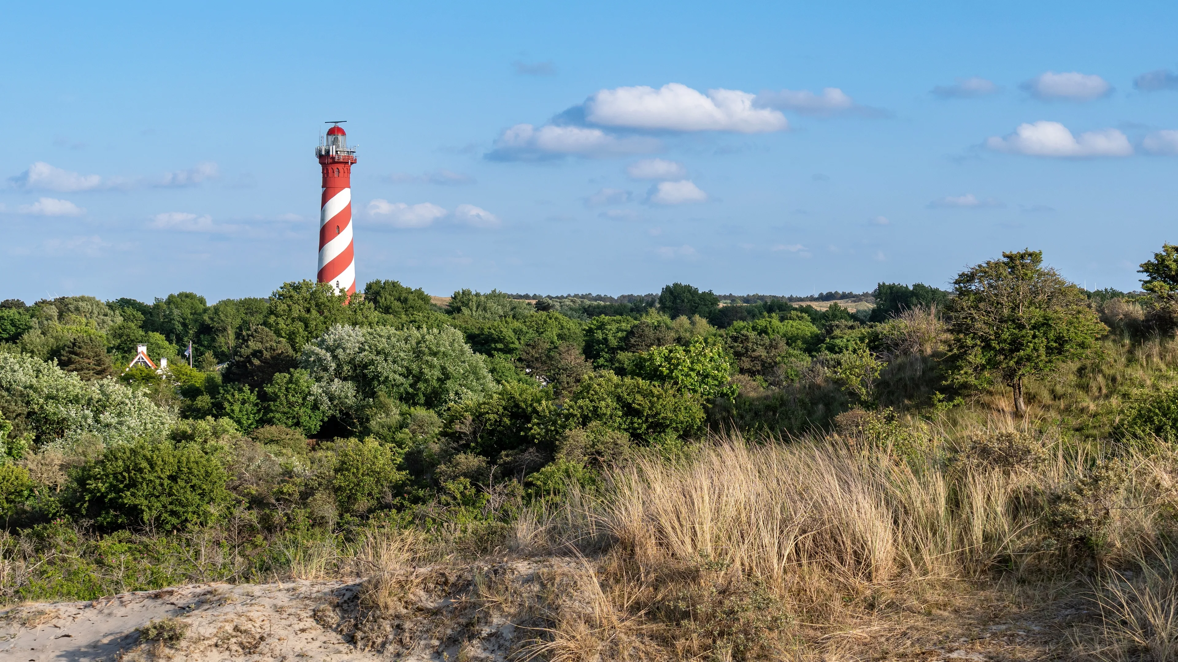 Uitgelichte afbeelding