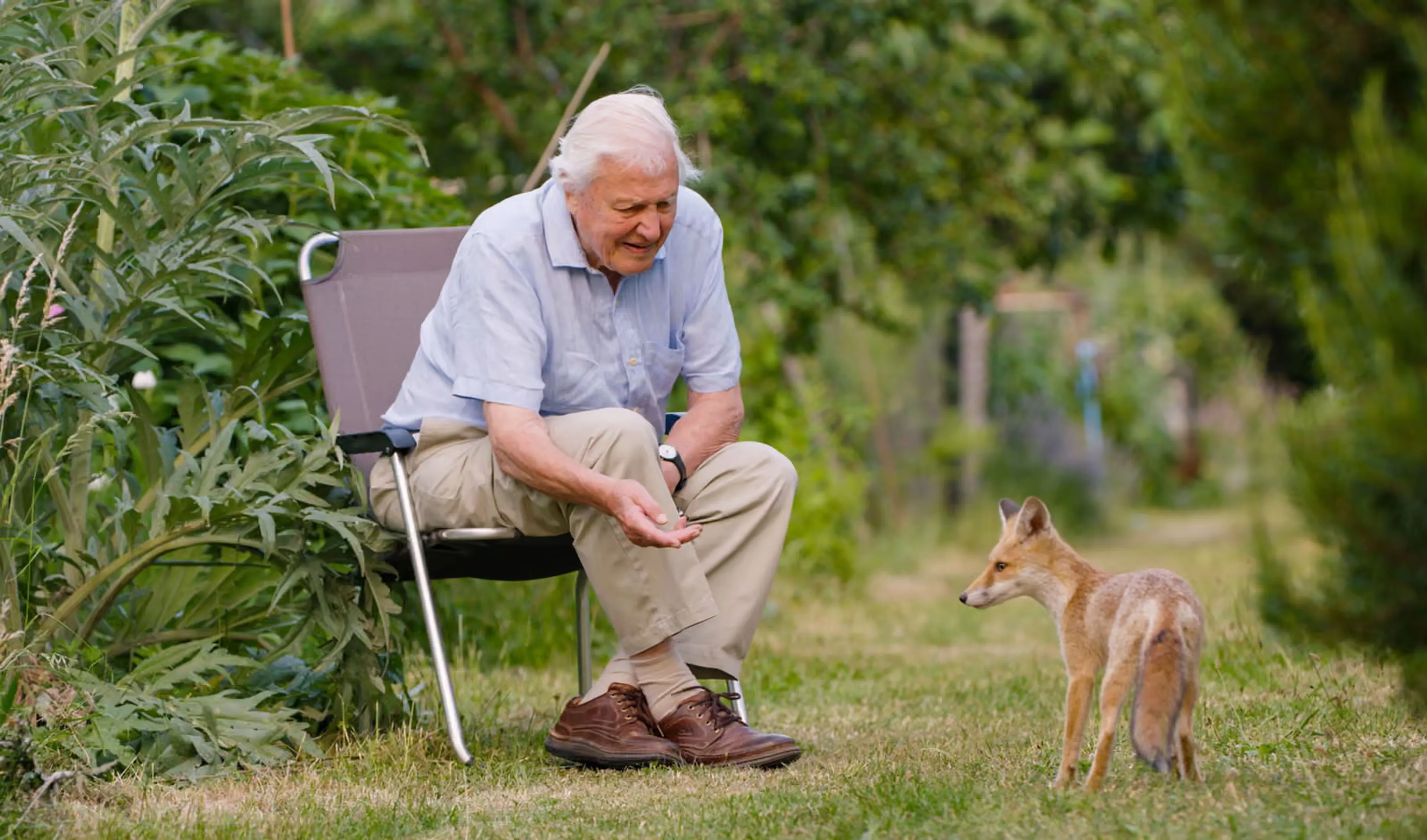 David Attenborough