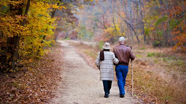 Onder anderen Marieke Meijer en René van Loon geven tips.