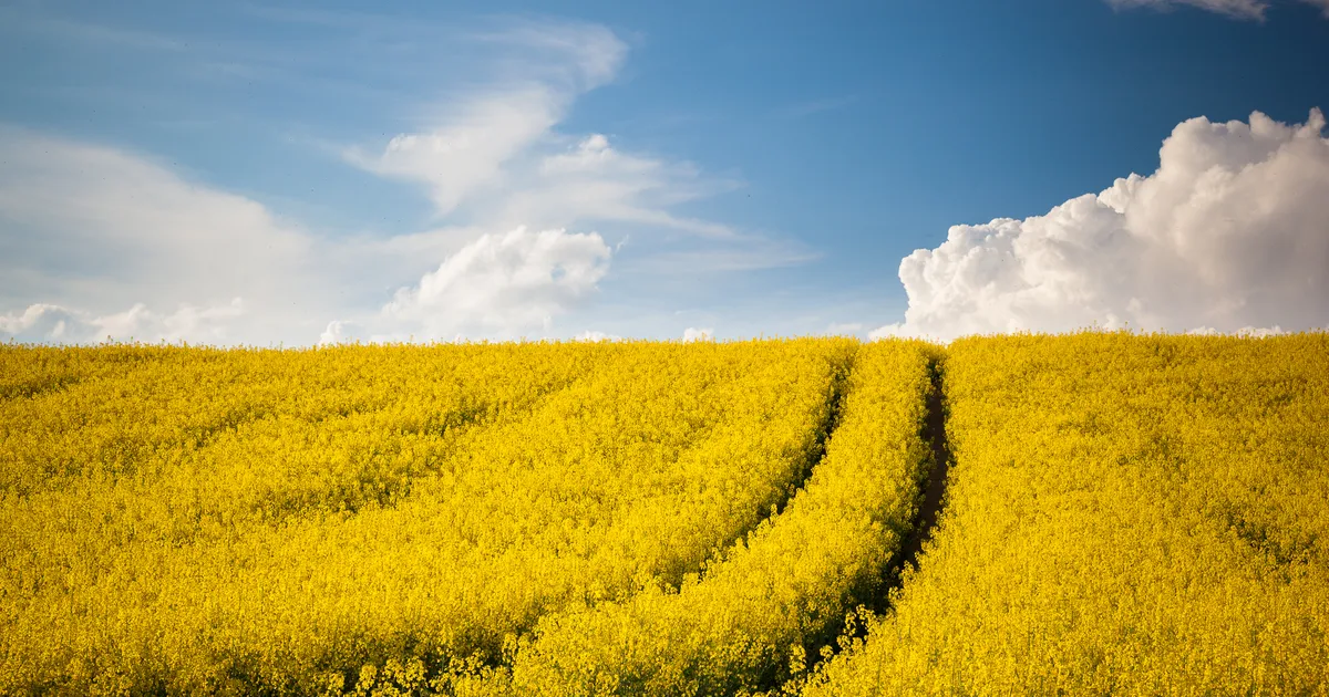 Openbaring 4, een kijkje in de hemel - EO