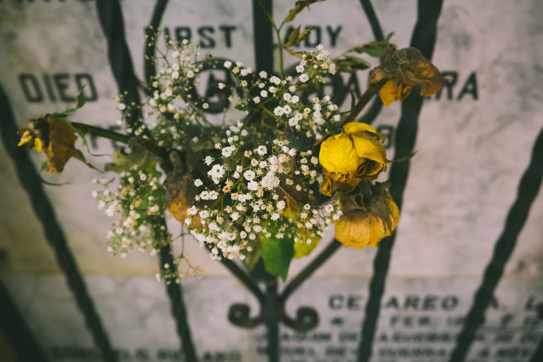 Waar Ga Je Heen Als Je Dood Bent