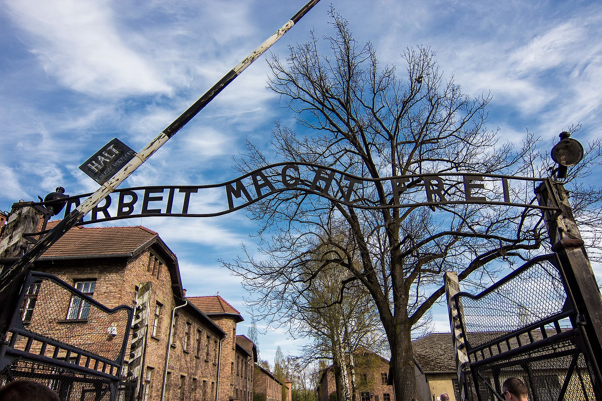 Nationale Holocaust Herdenking Auschwitz
