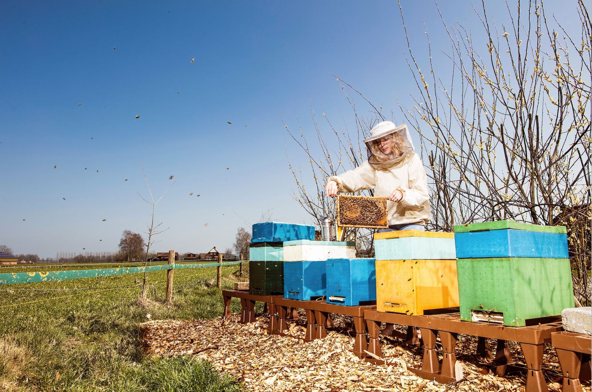Imker Nienke Boone bij bijenkasten in Vaassen Jacqueline de Haas