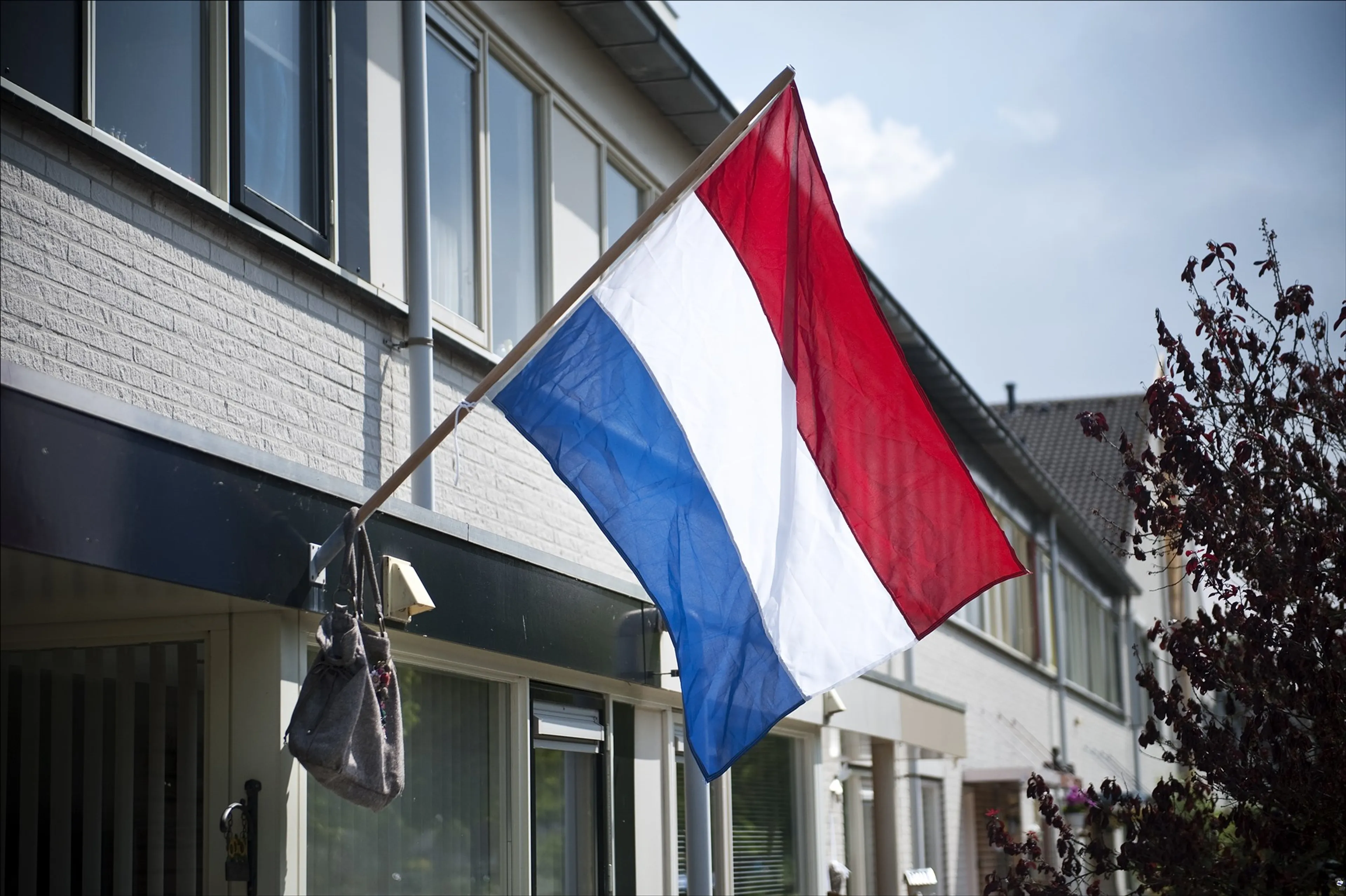 Uitgelichte afbeelding