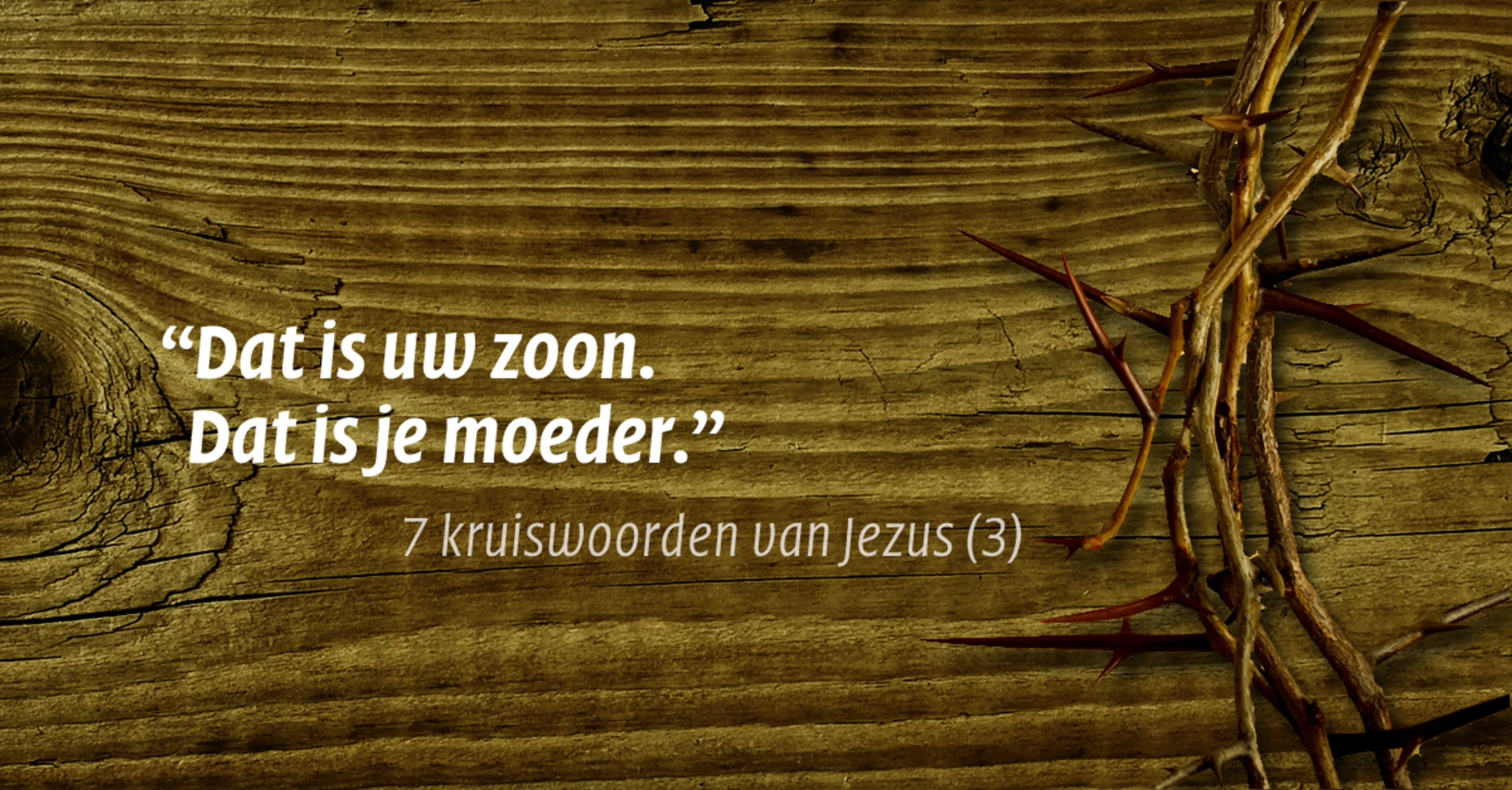 Uitgelichte afbeelding