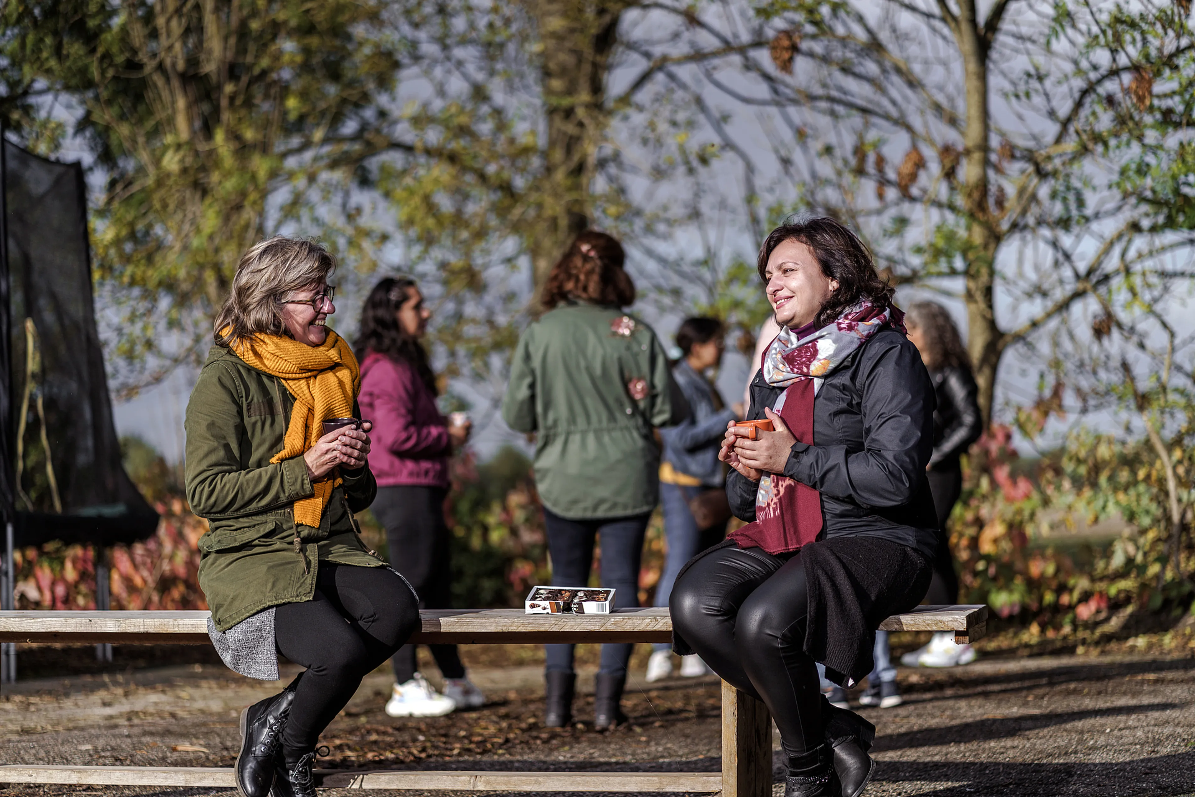 Uitgelichte afbeelding