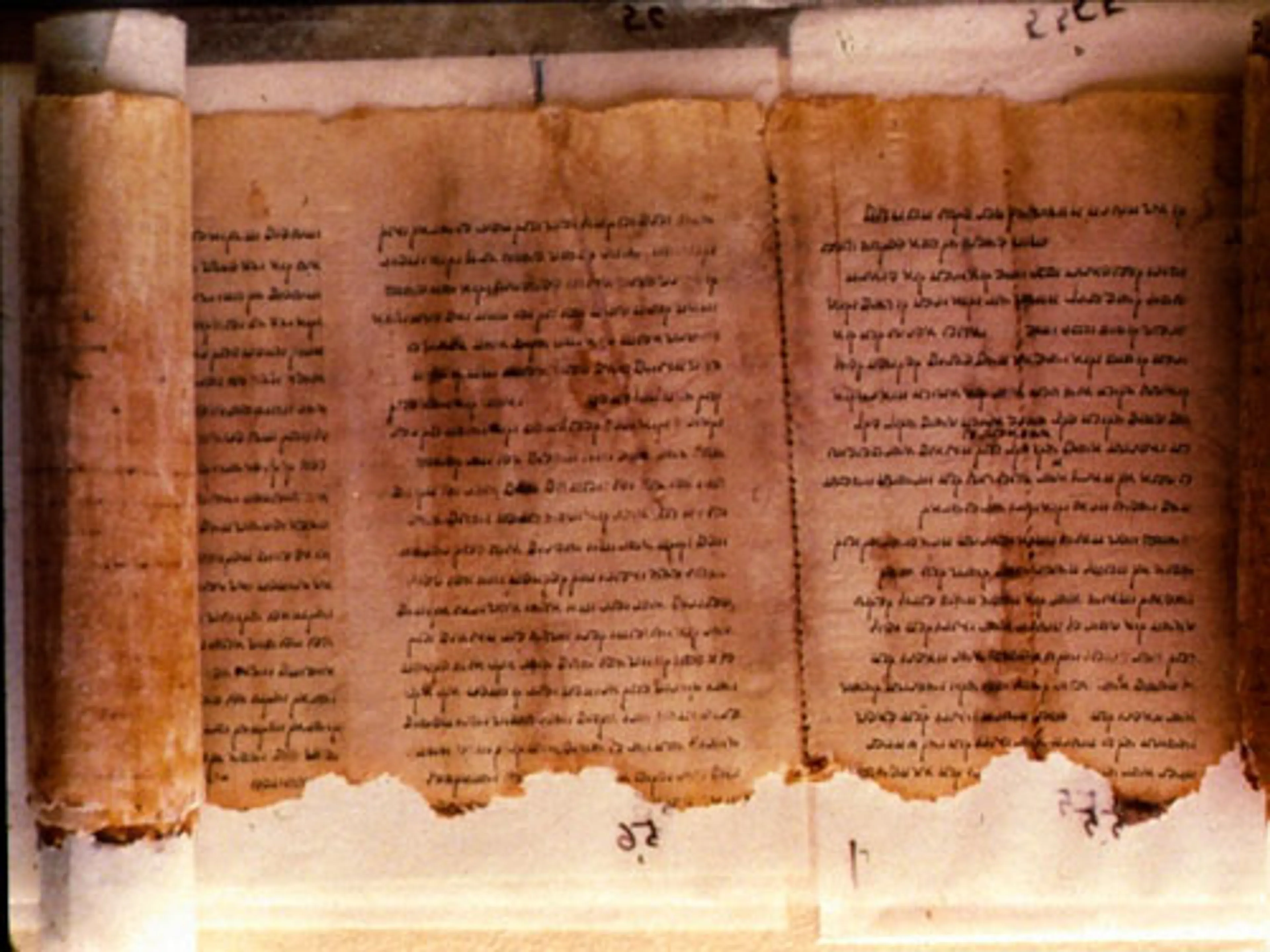 Uitgelichte afbeelding