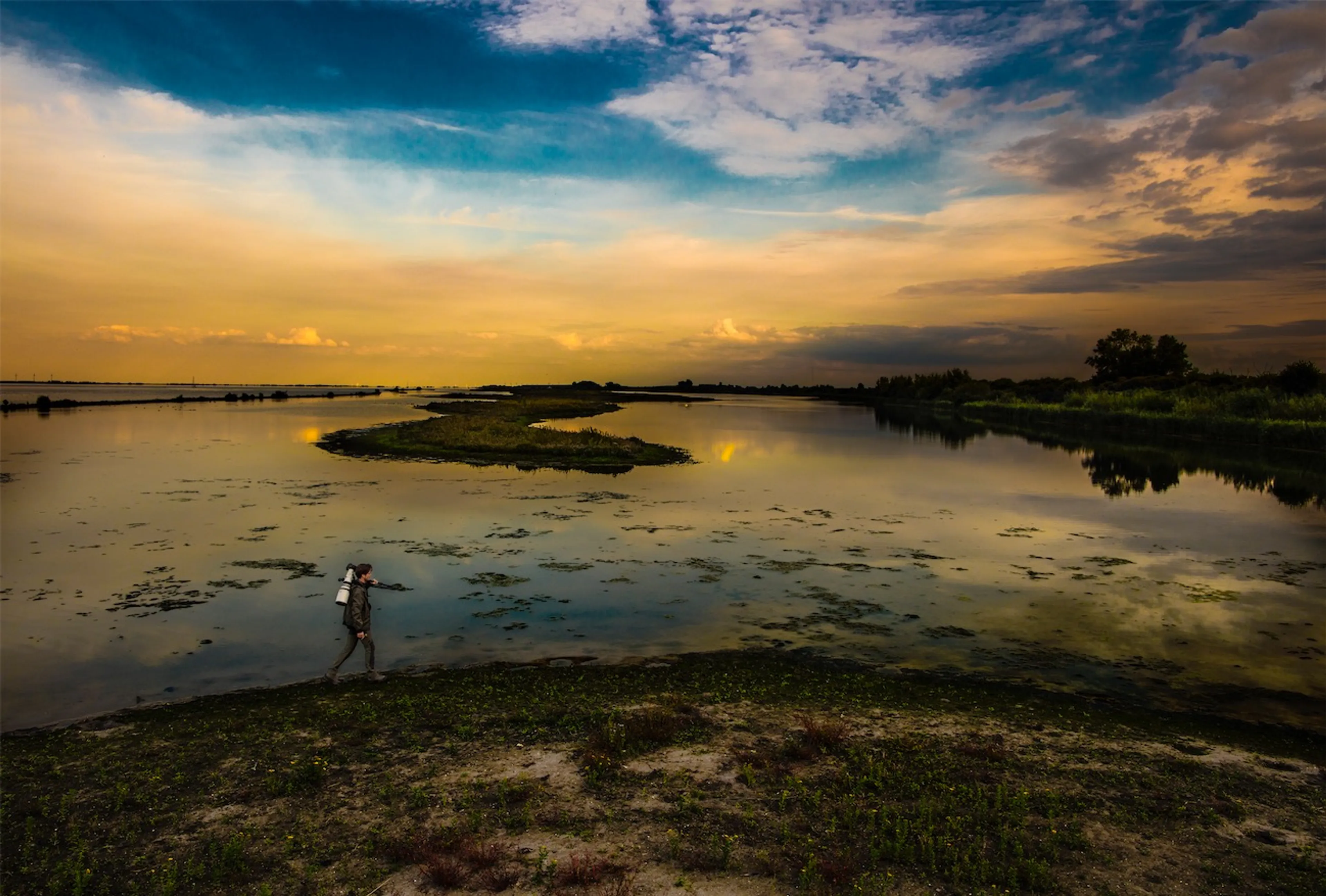 Uitgelichte afbeelding