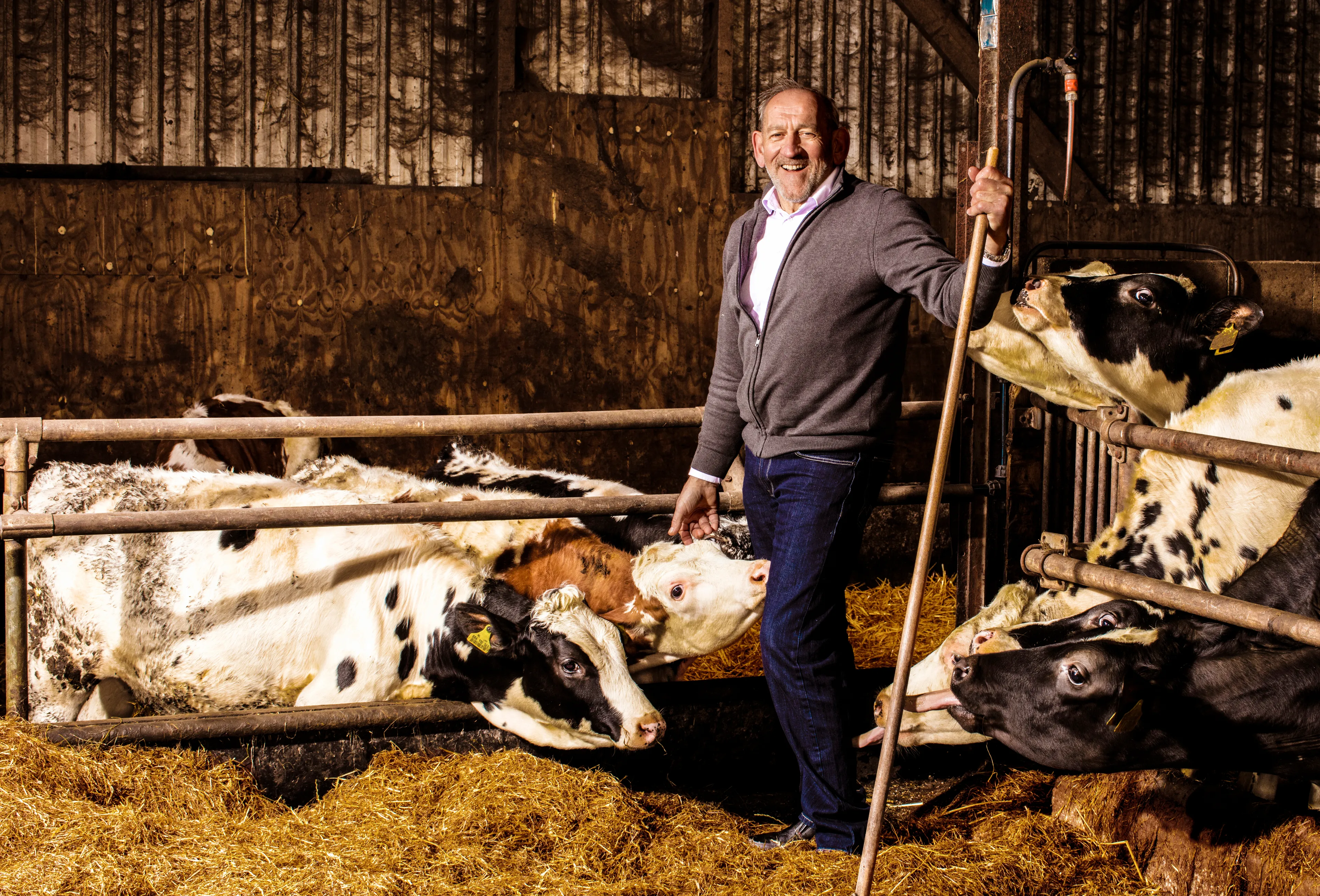 Uitgelichte afbeelding