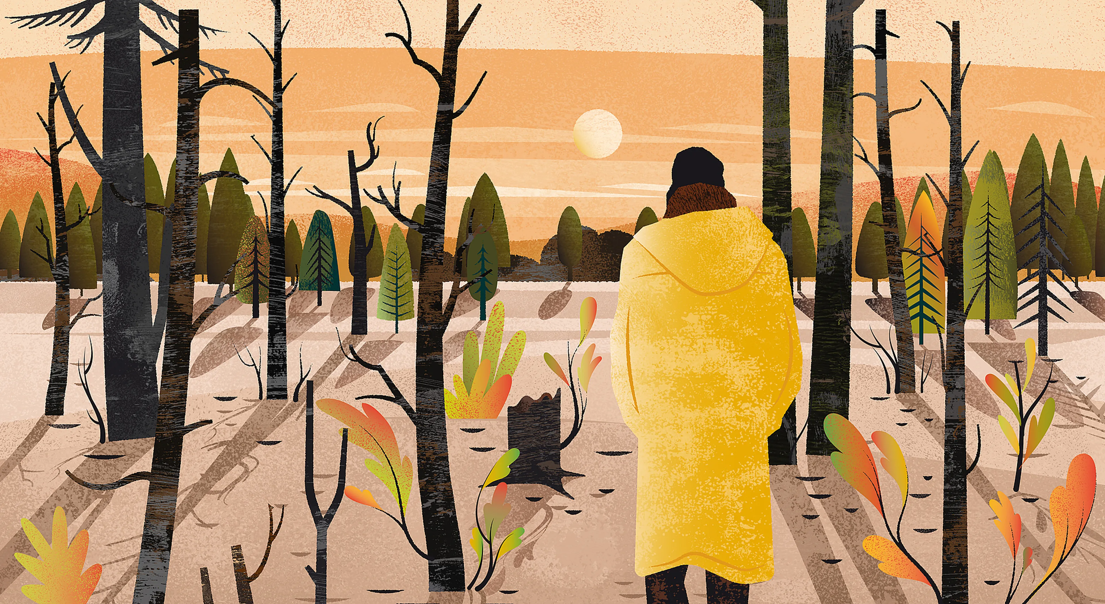 Uitgelichte afbeelding