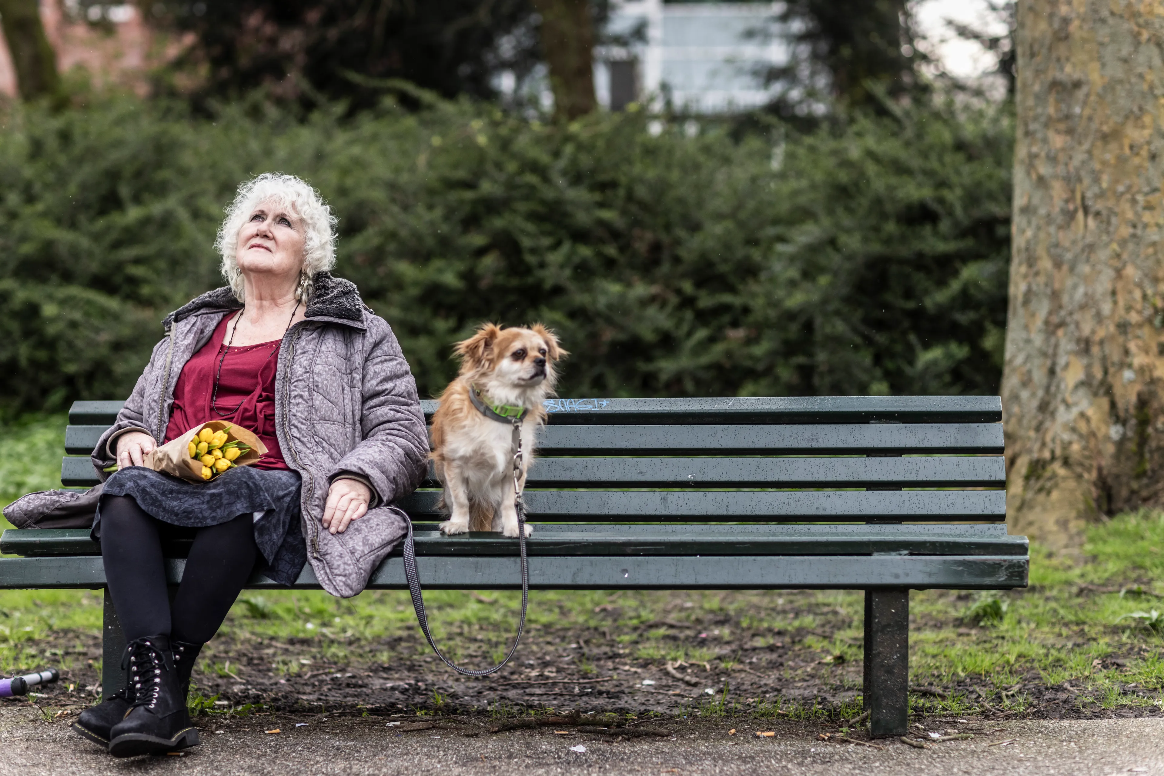 Uitgelichte afbeelding