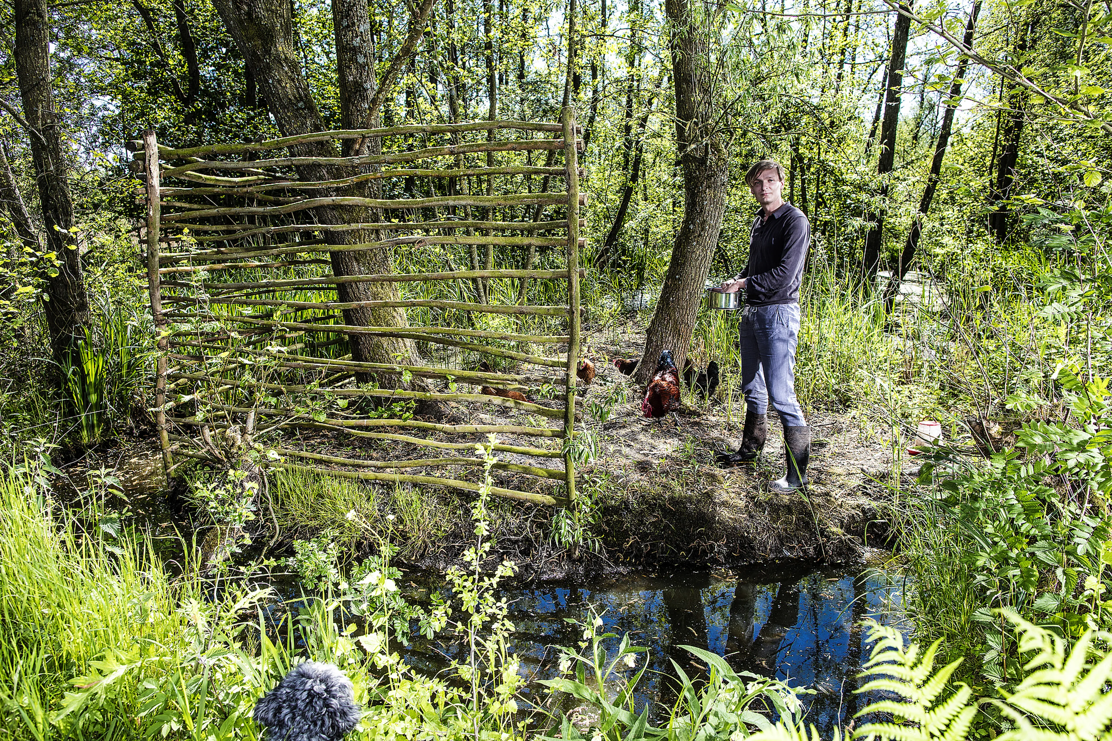 Uitgelichte afbeelding