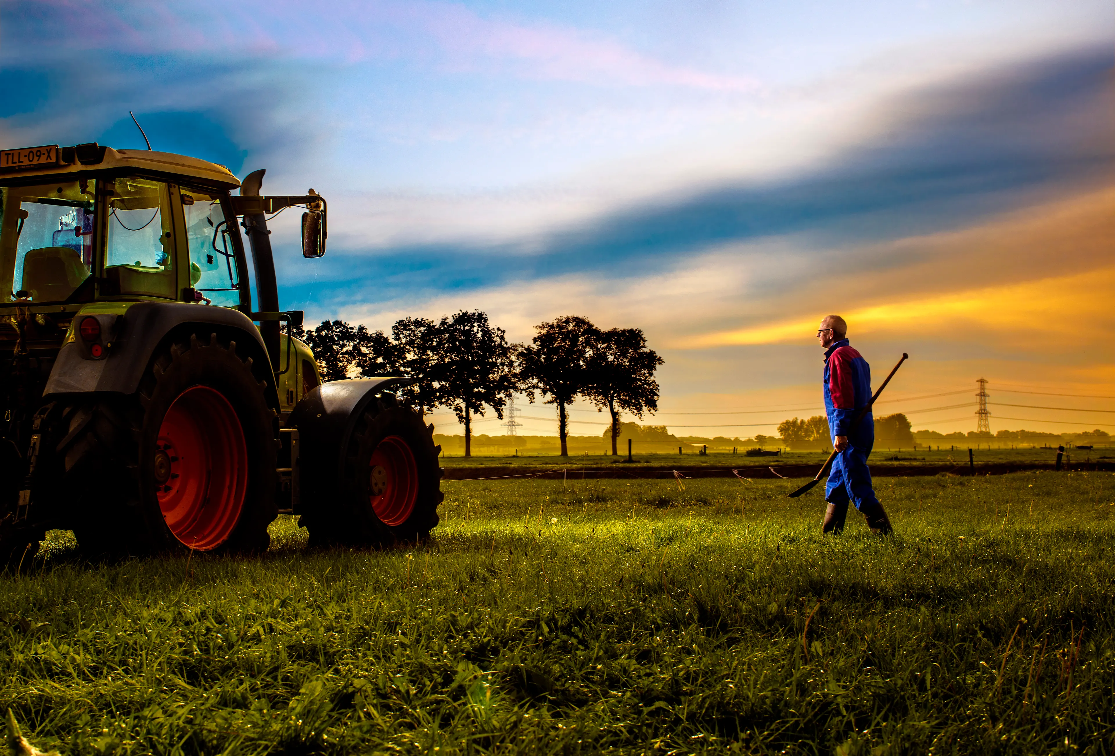 Uitgelichte afbeelding