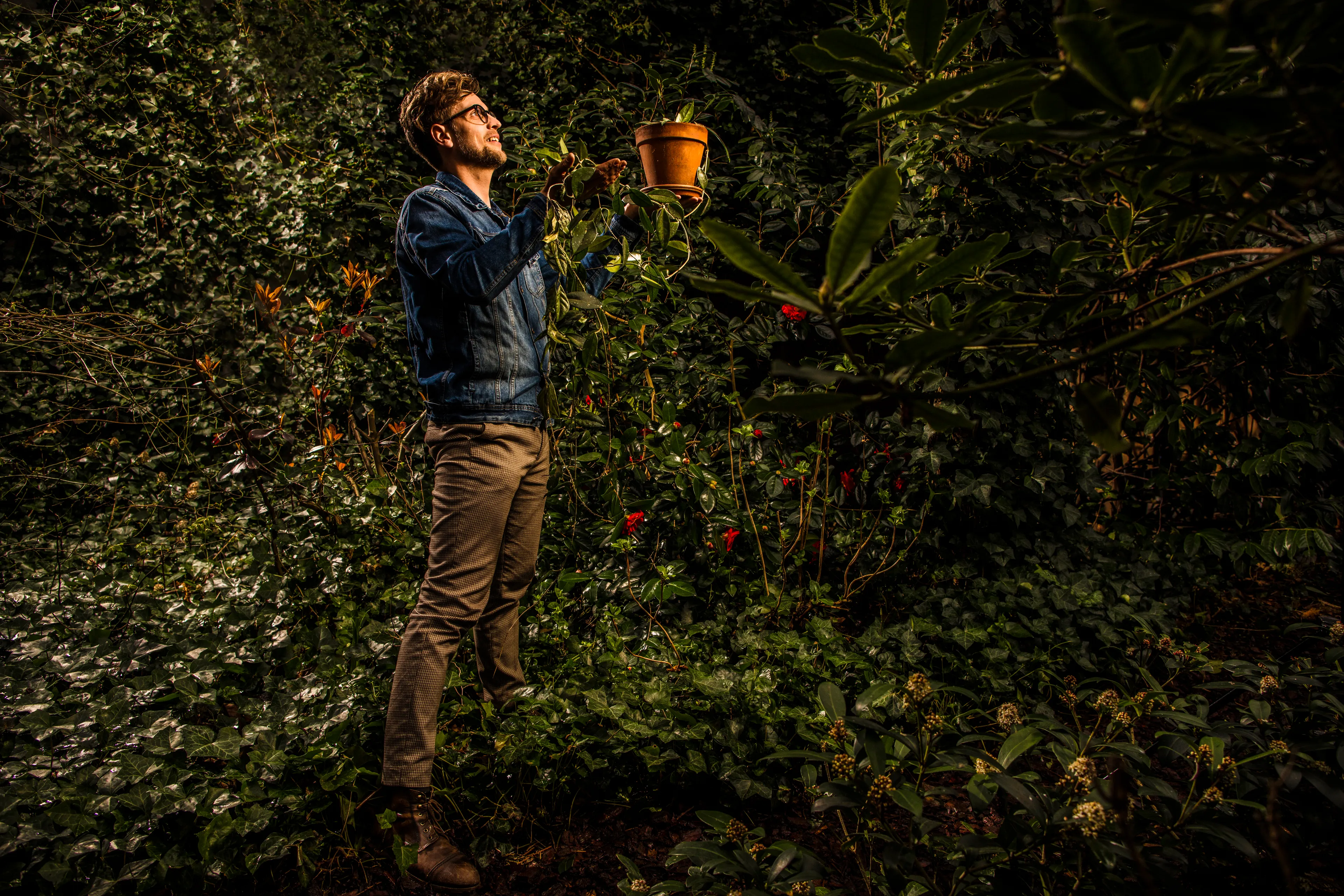 Uitgelichte afbeelding