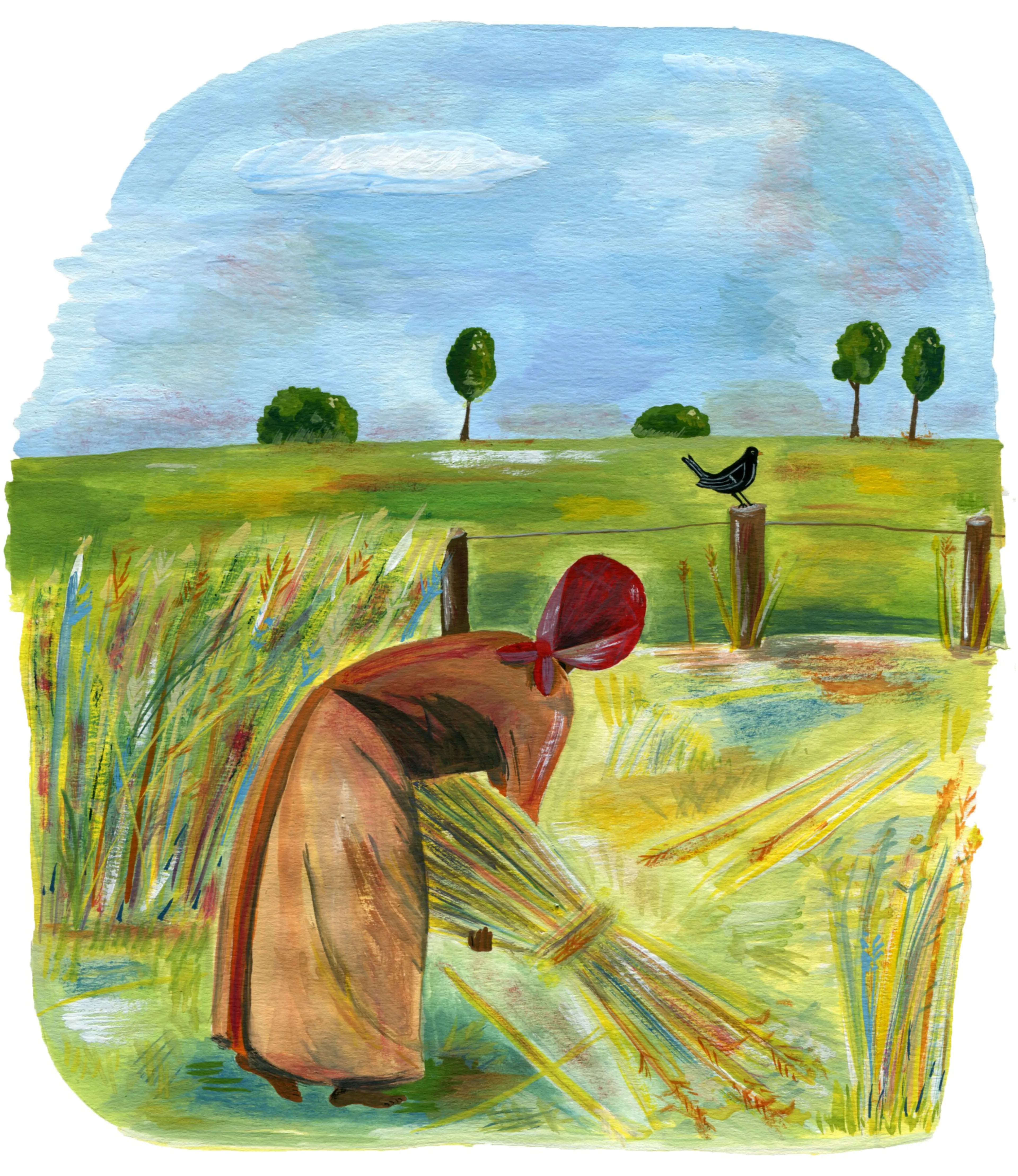 Uitgelichte afbeelding