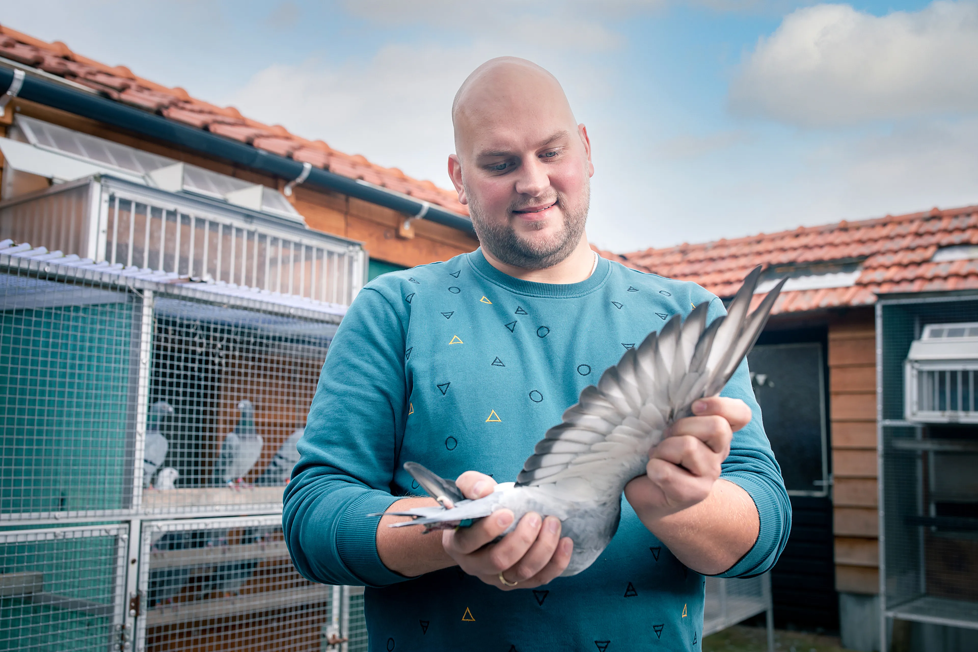 Uitgelichte afbeelding