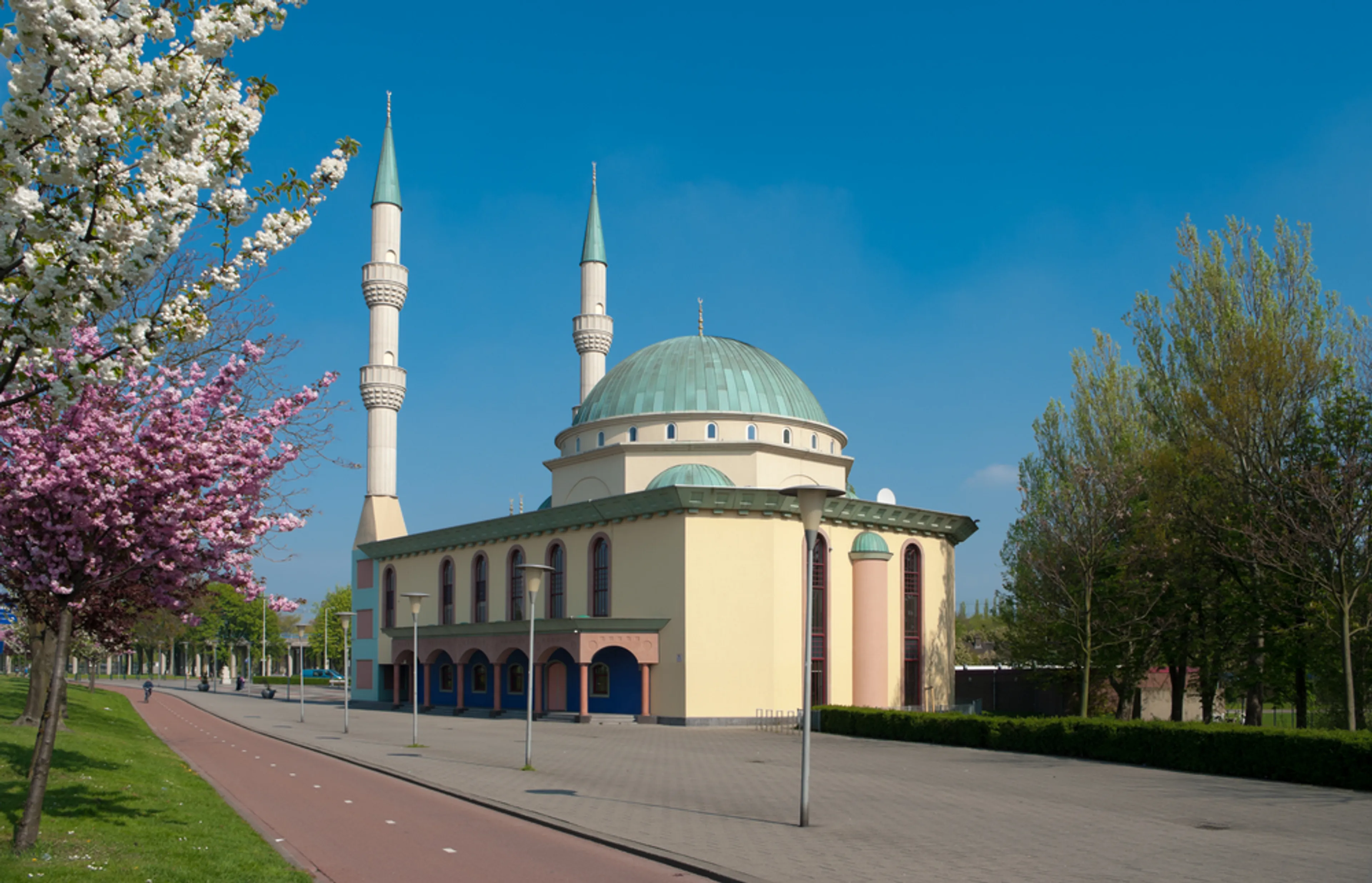 Uitgelichte afbeelding