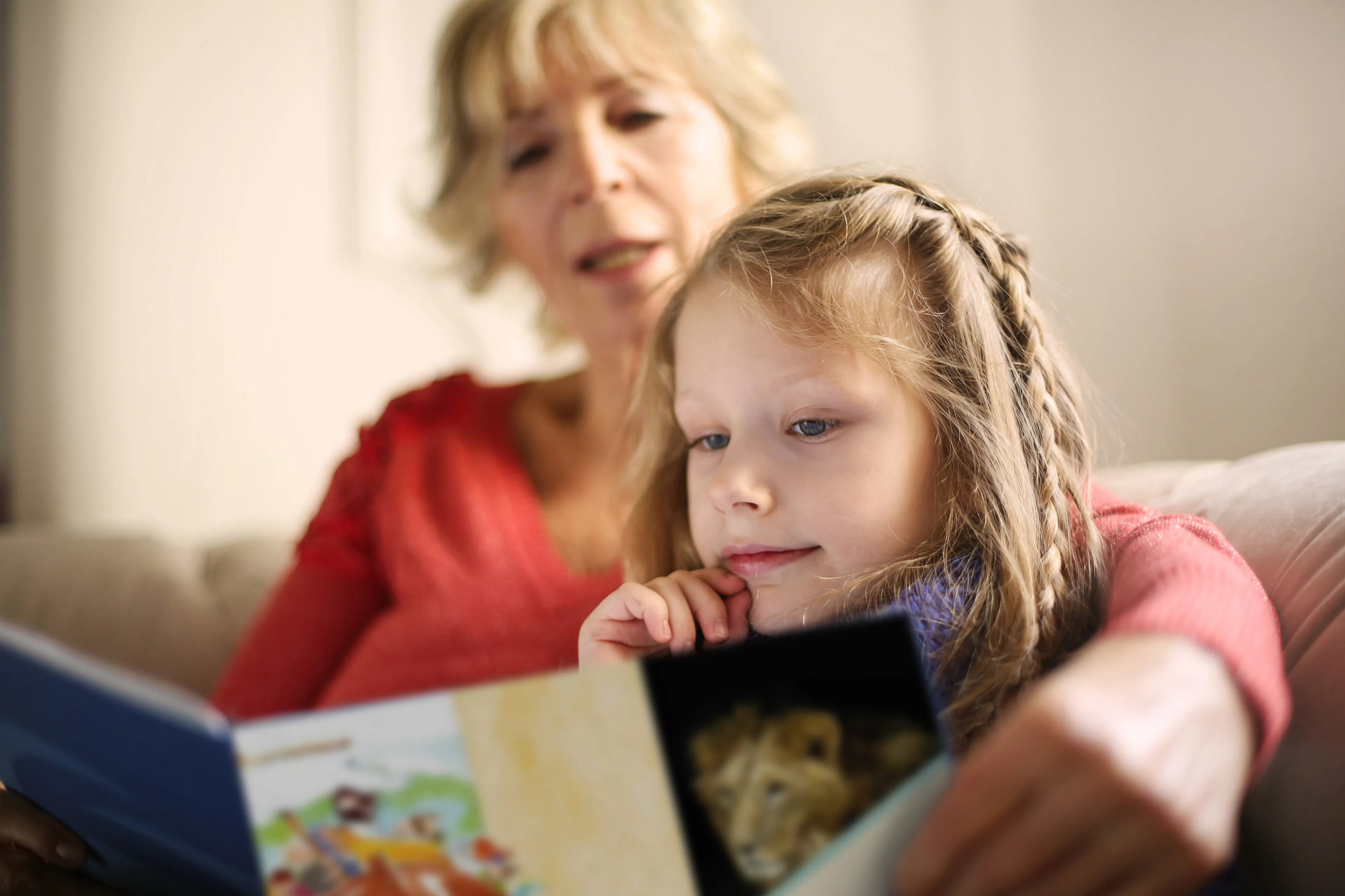 Uitgelichte afbeelding