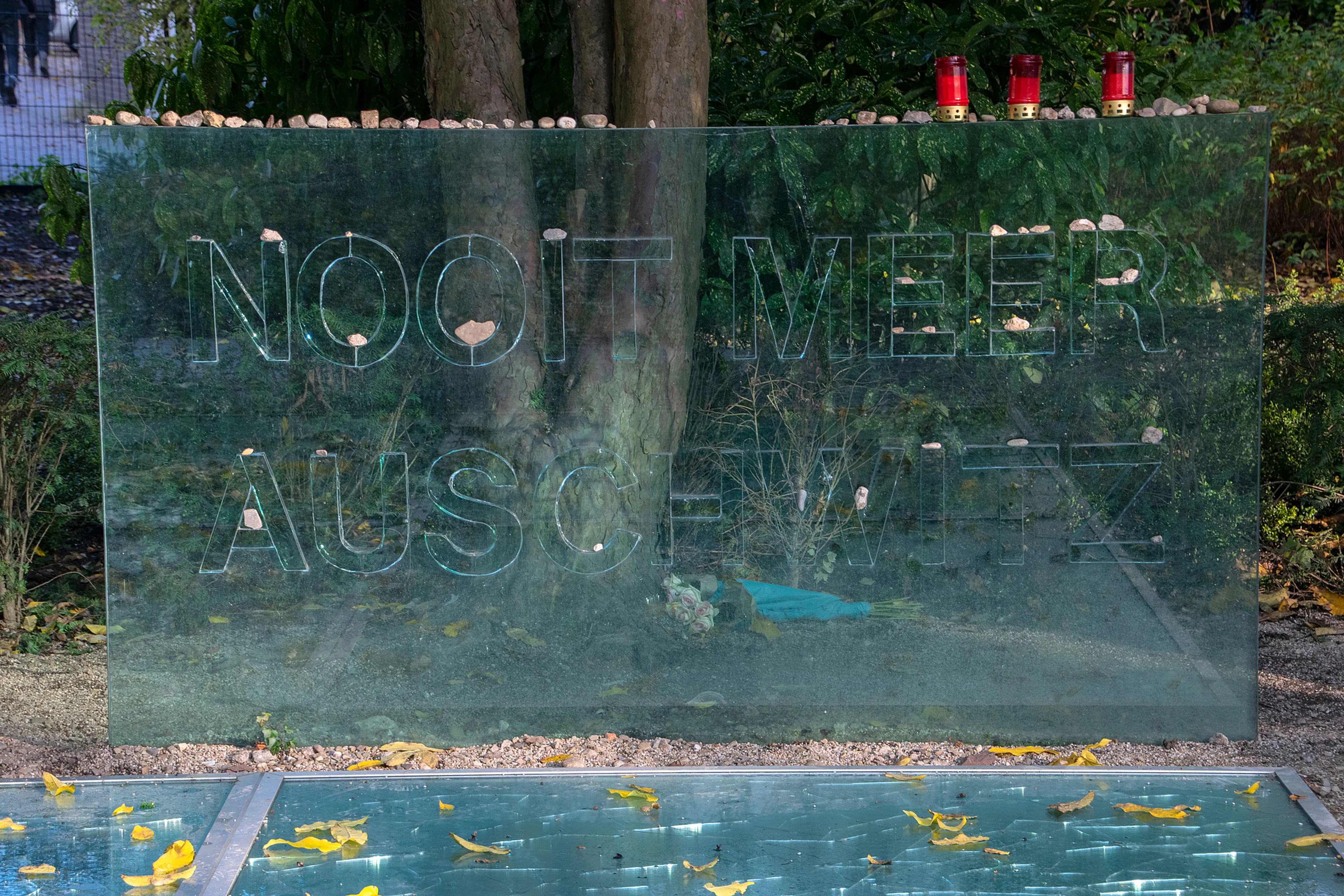 Uitgelichte afbeelding