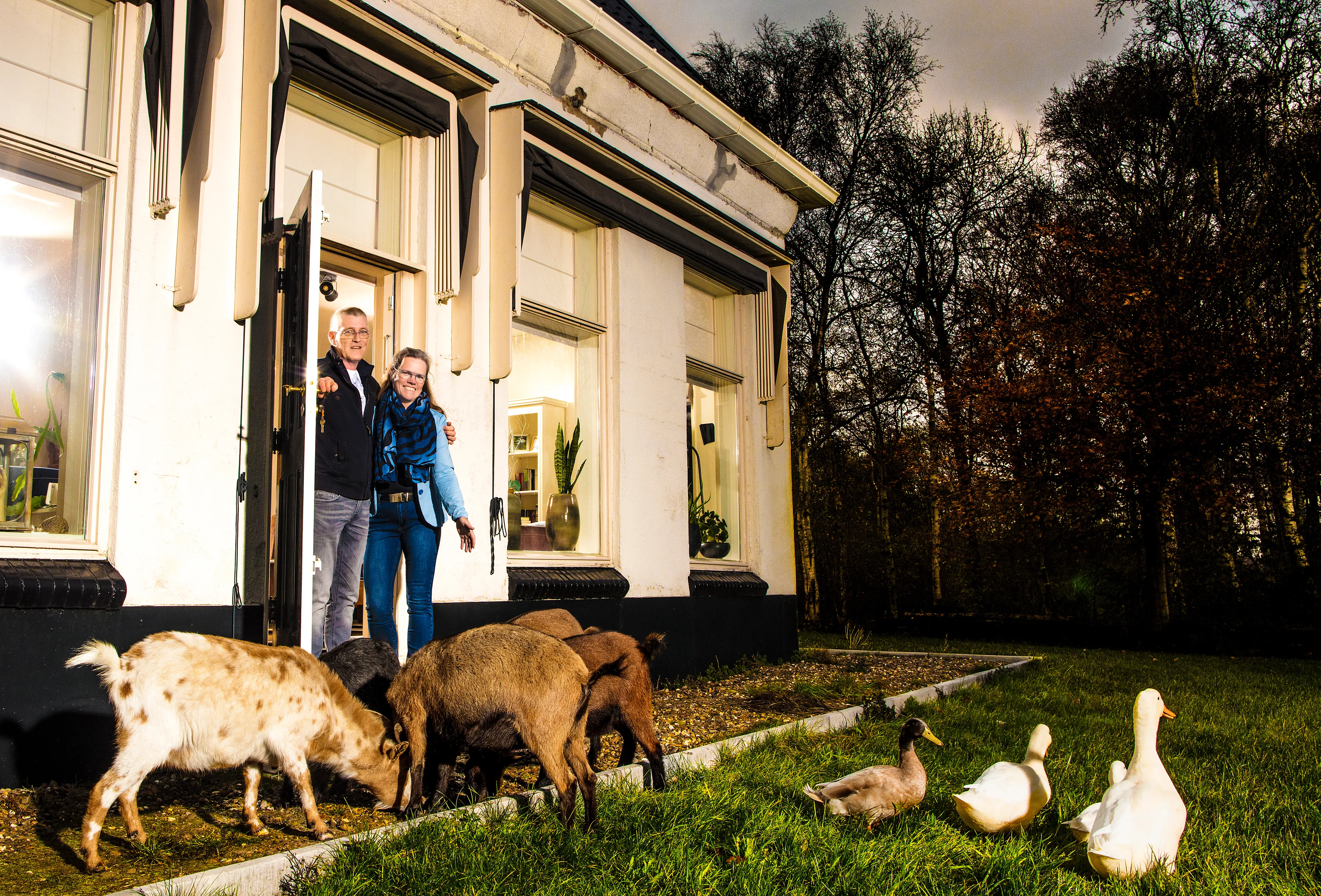 Uitgelichte afbeelding