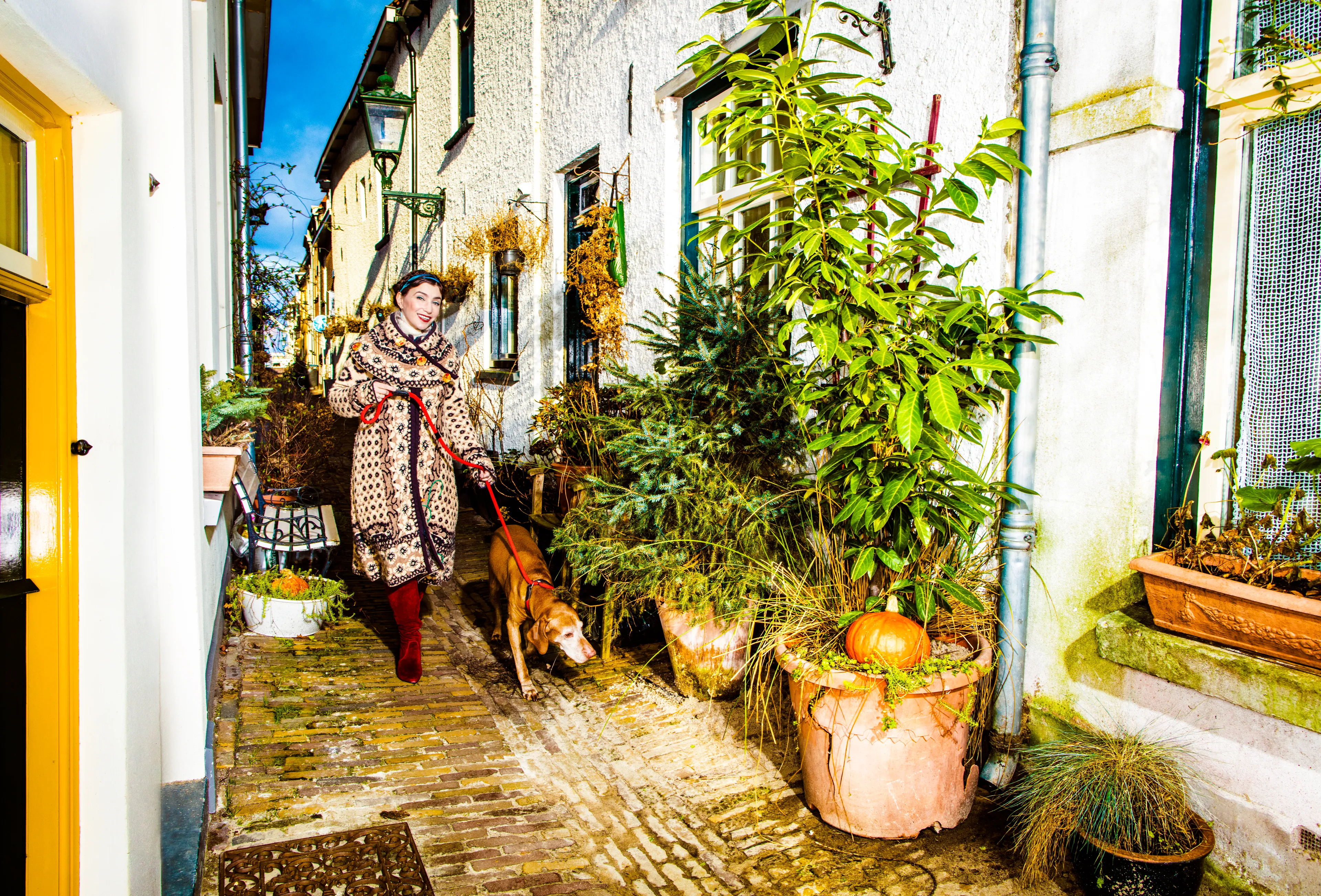 Uitgelichte afbeelding