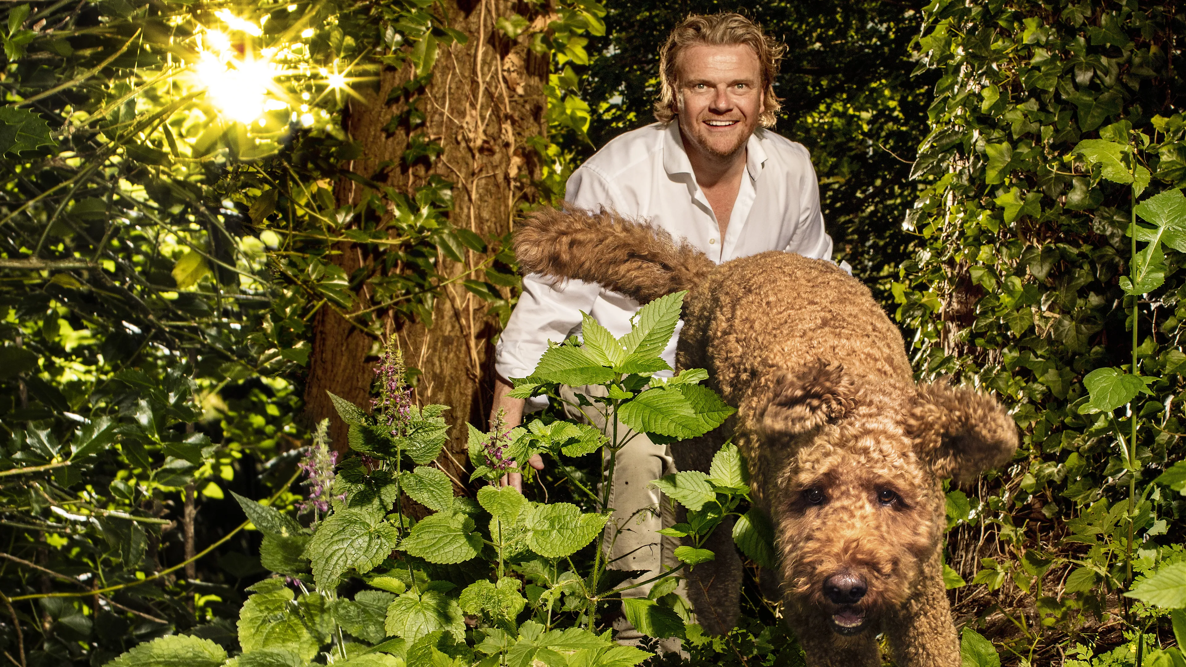 Uitgelichte afbeelding