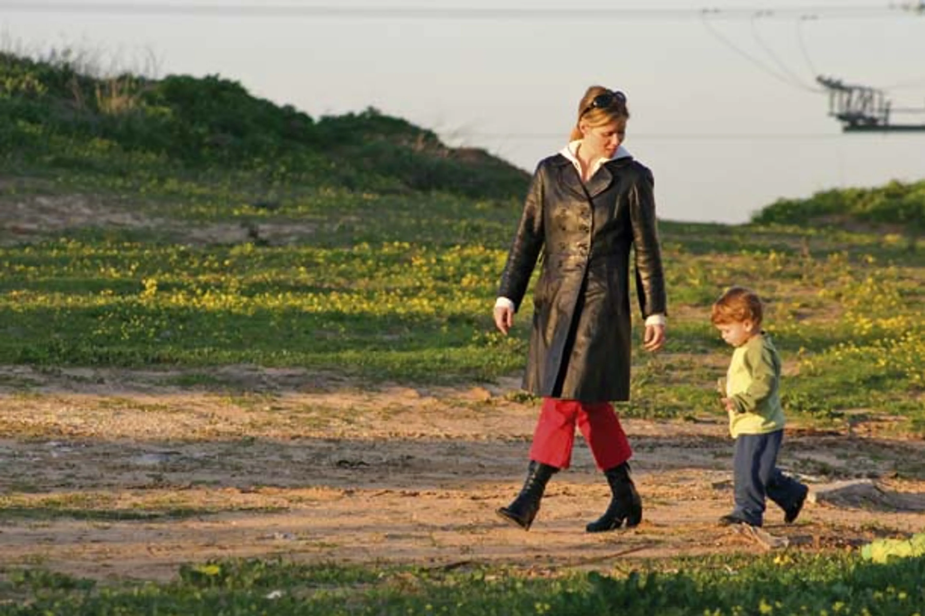 Uitgelichte afbeelding