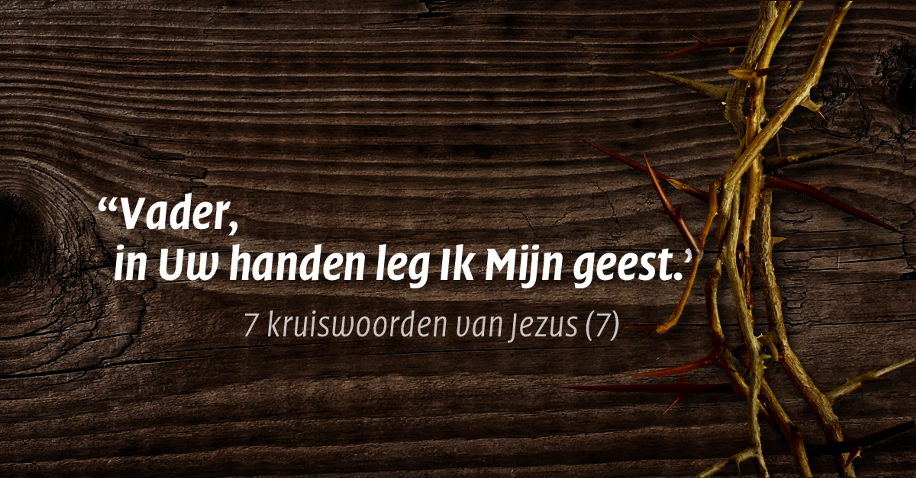 Uitgelichte afbeelding