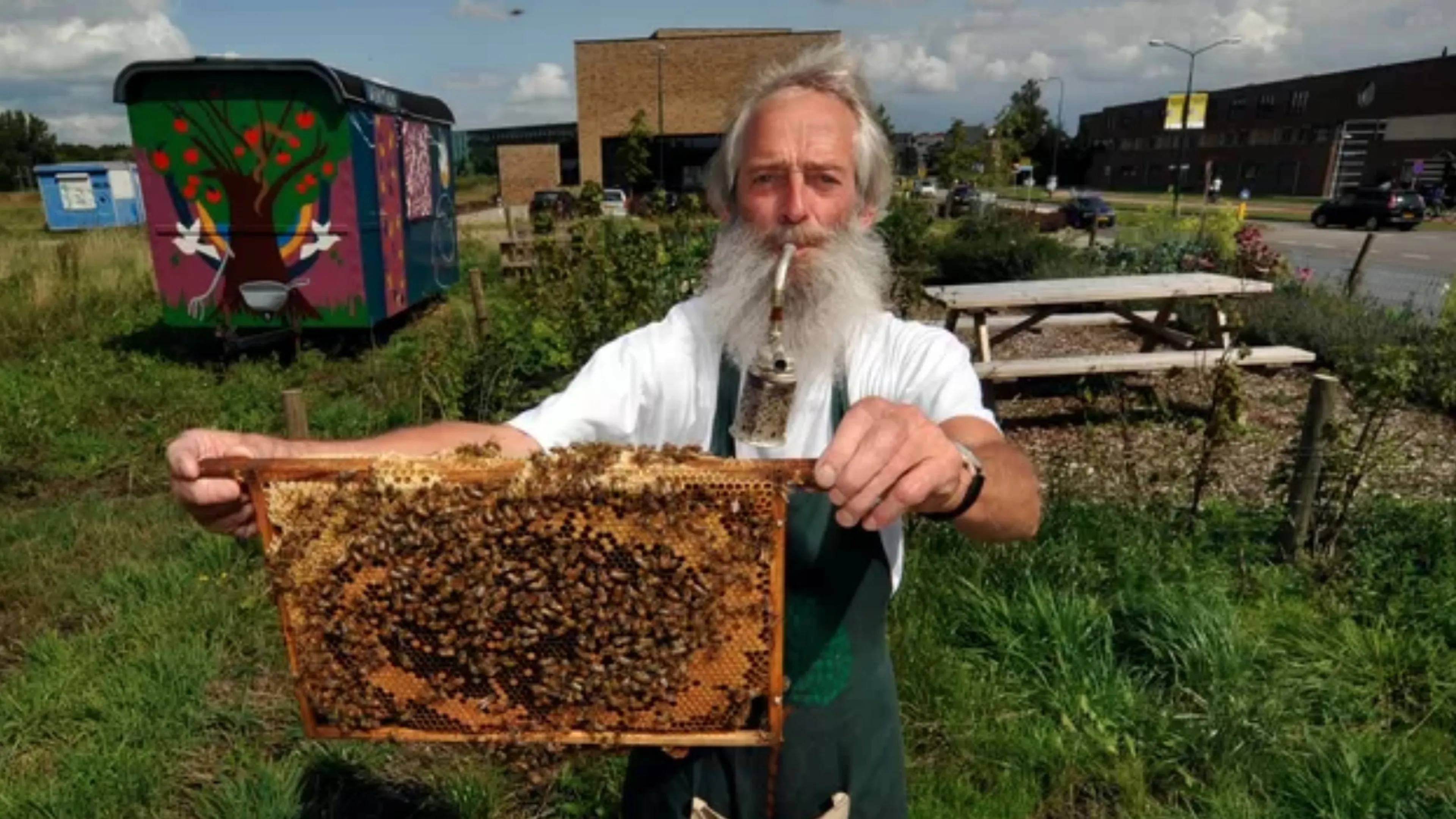 Uitgelichte afbeelding