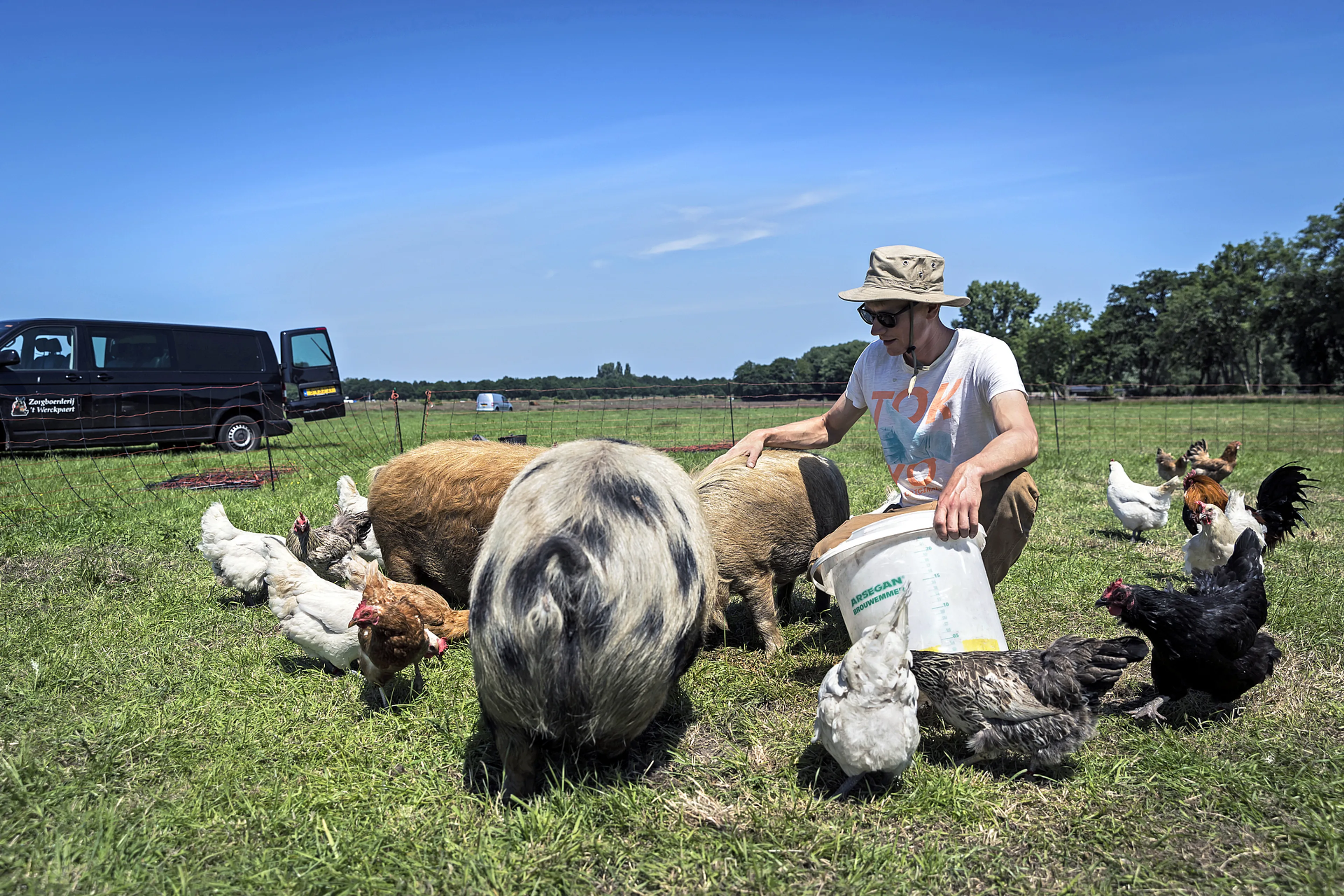 Uitgelichte afbeelding