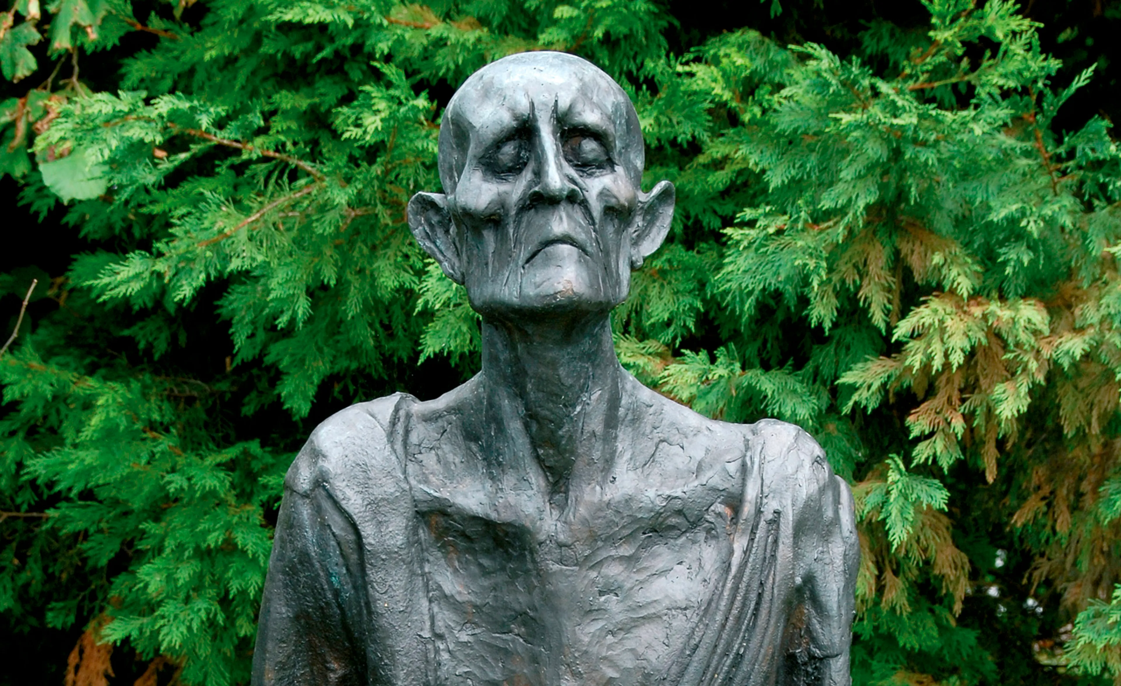 Uitgelichte afbeelding