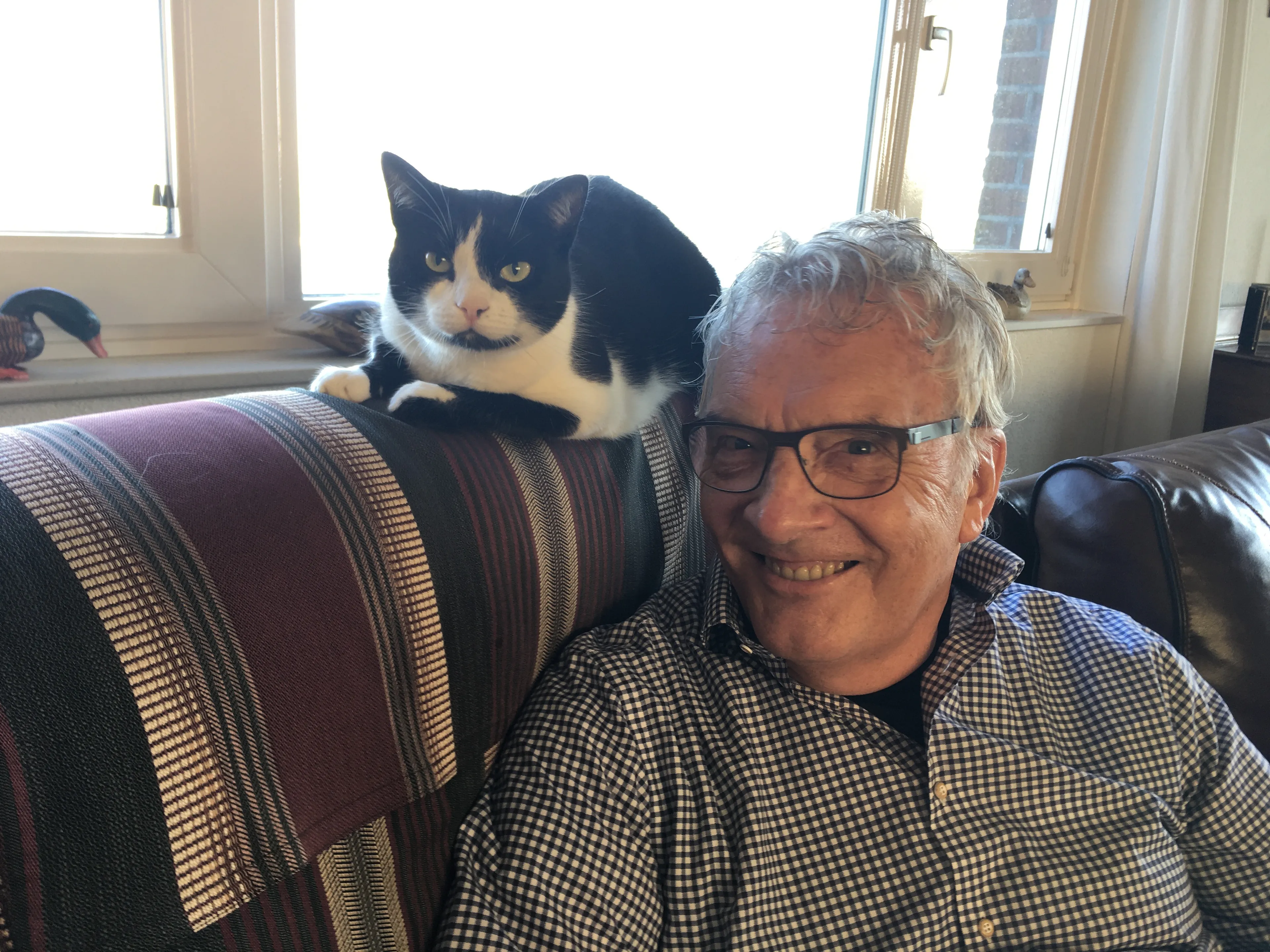 Uitgelichte afbeelding