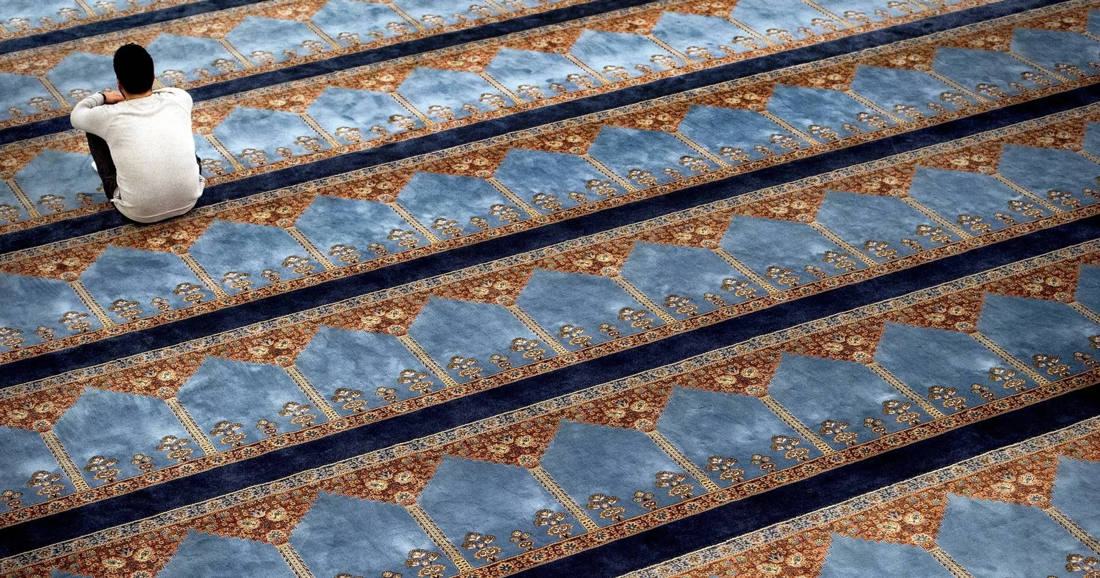 Uitgelichte afbeelding