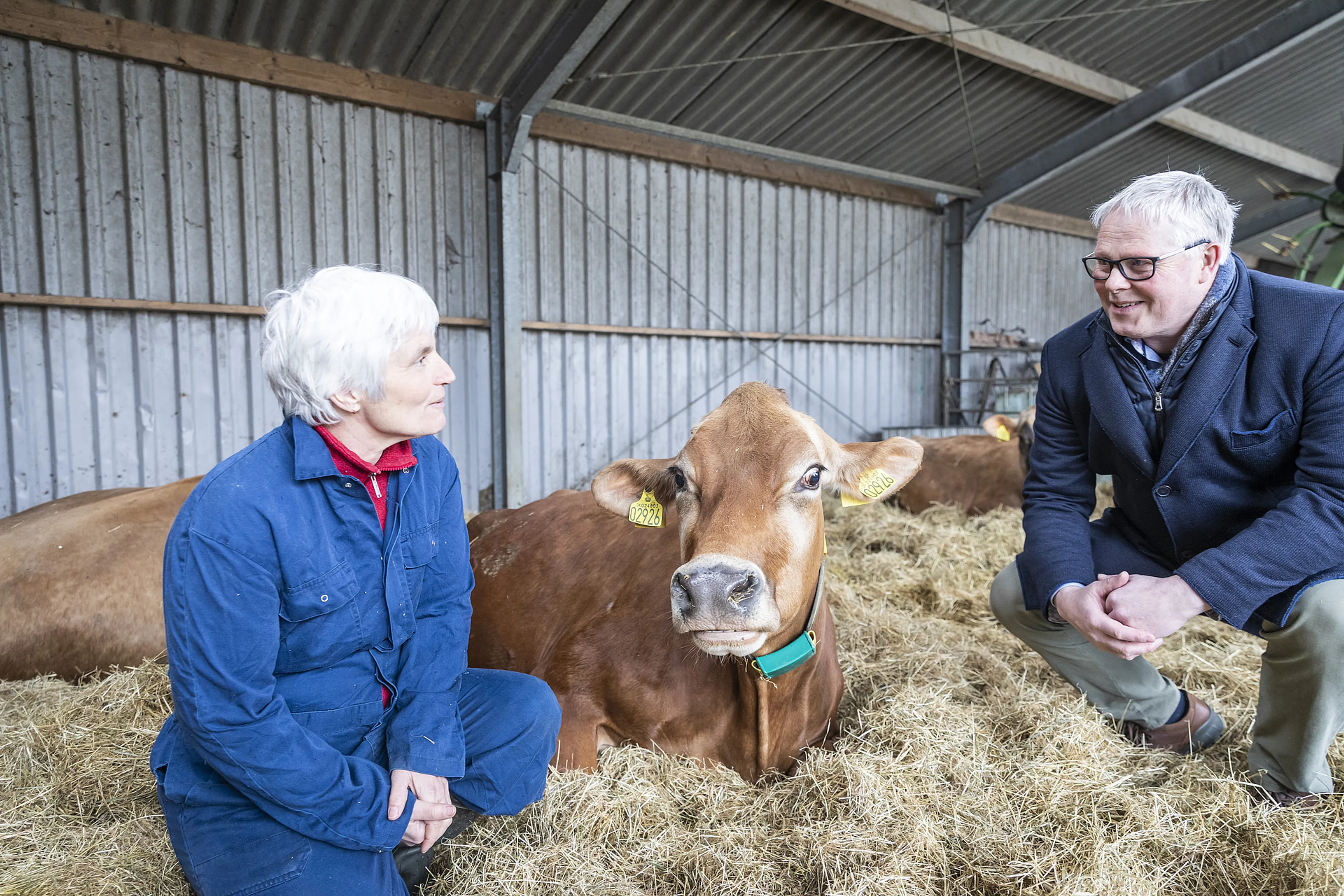Uitgelichte afbeelding
