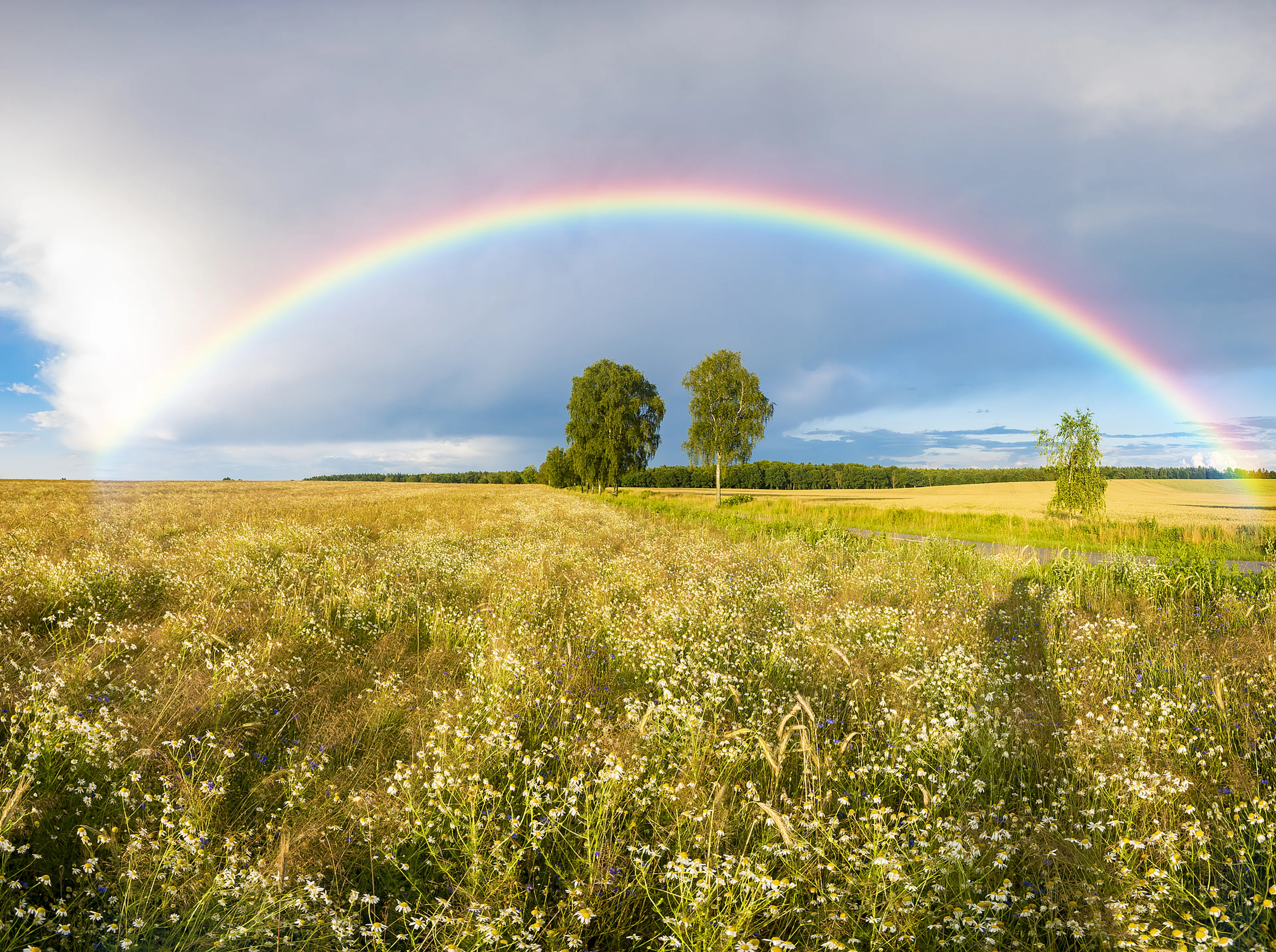 Willen we deze crisis te snel verwerken?