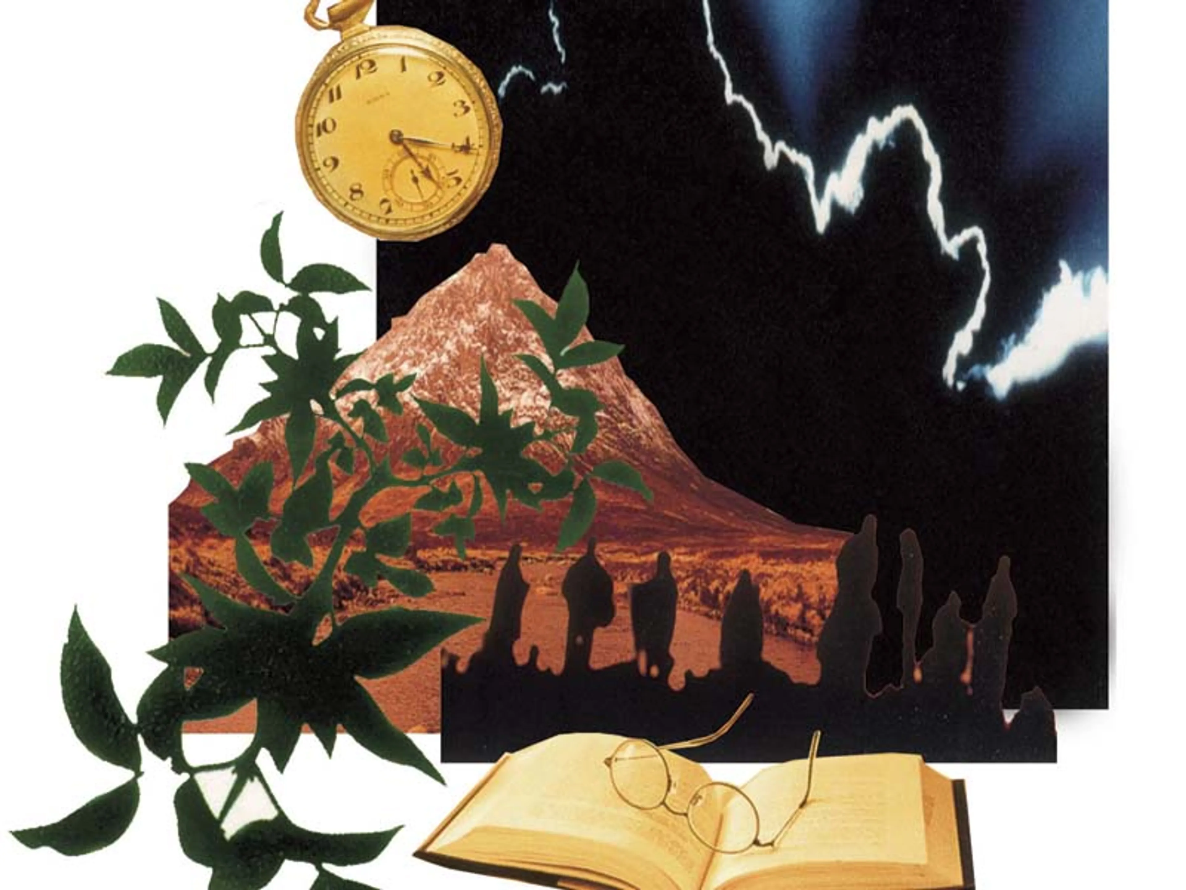 Uitgelichte afbeelding