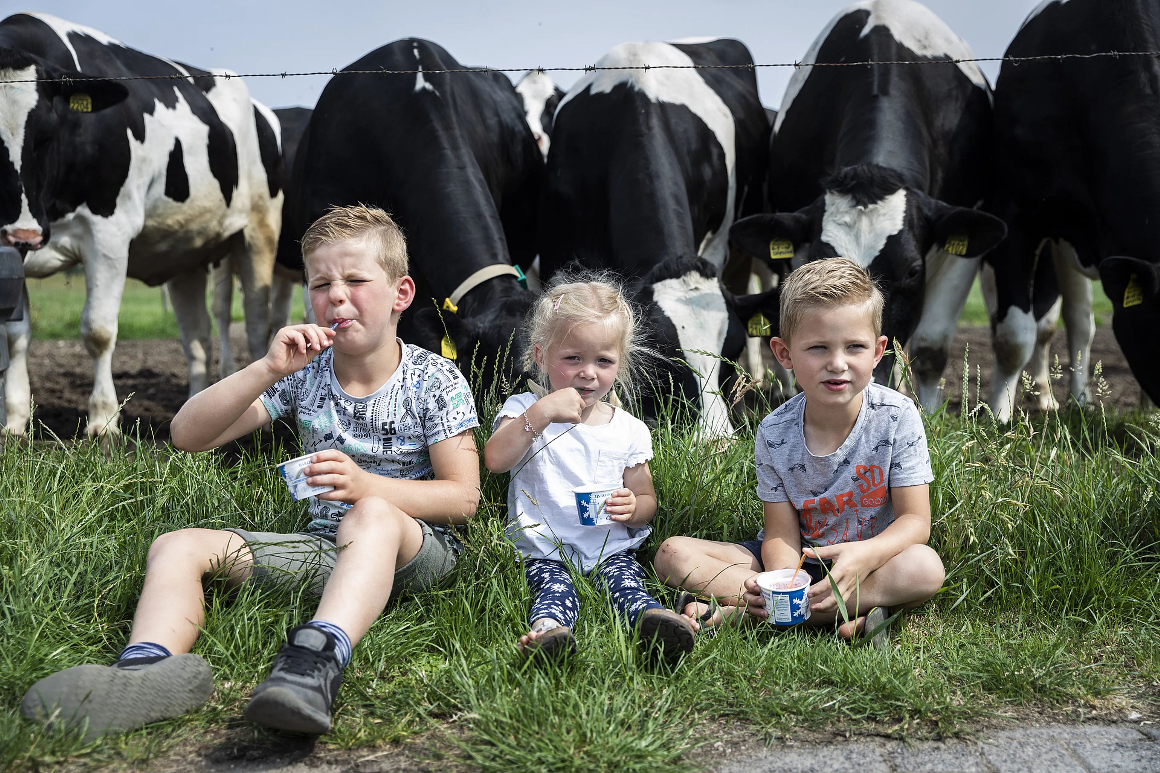 Uitgelichte afbeelding