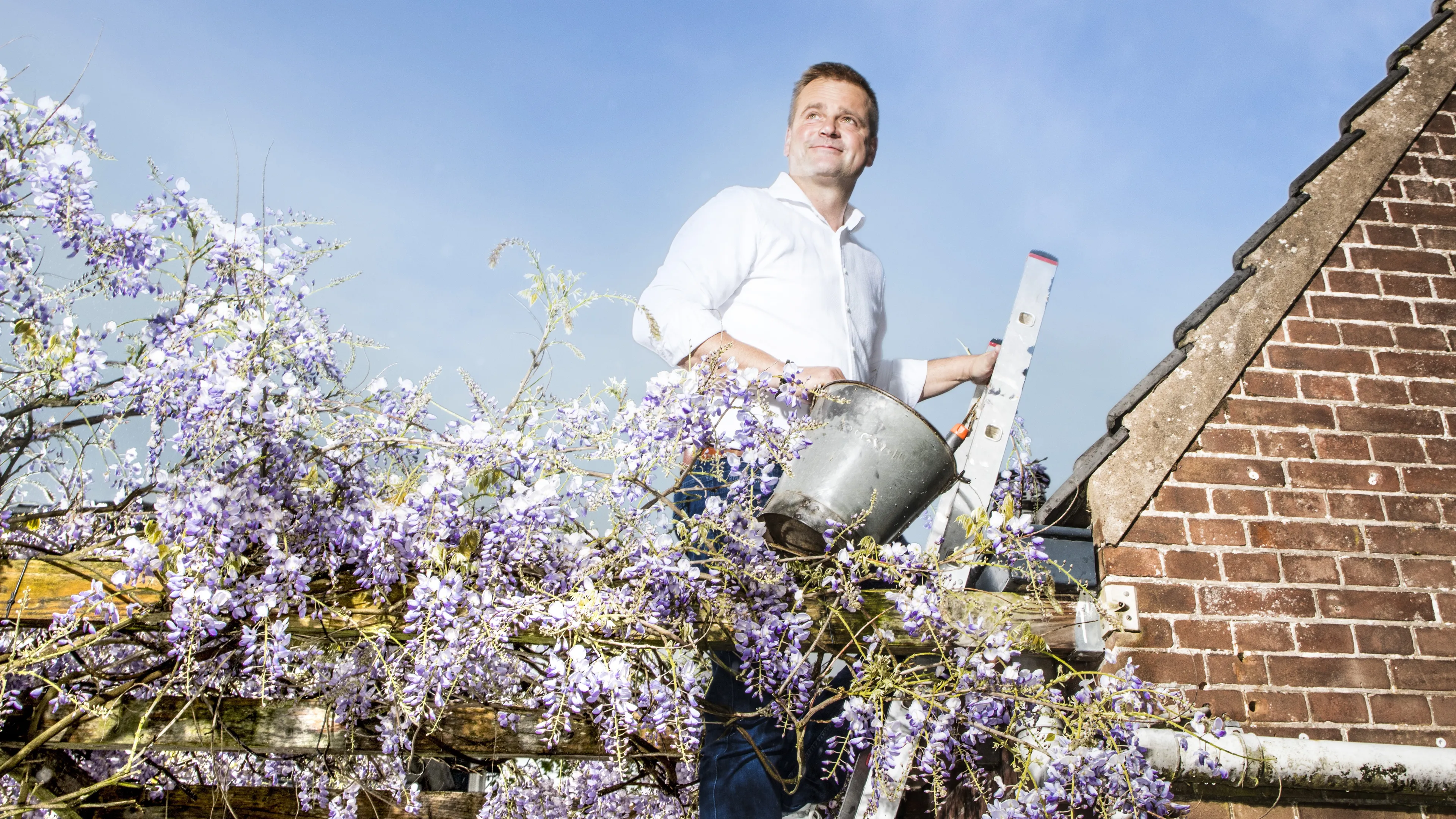 Uitgelichte afbeelding