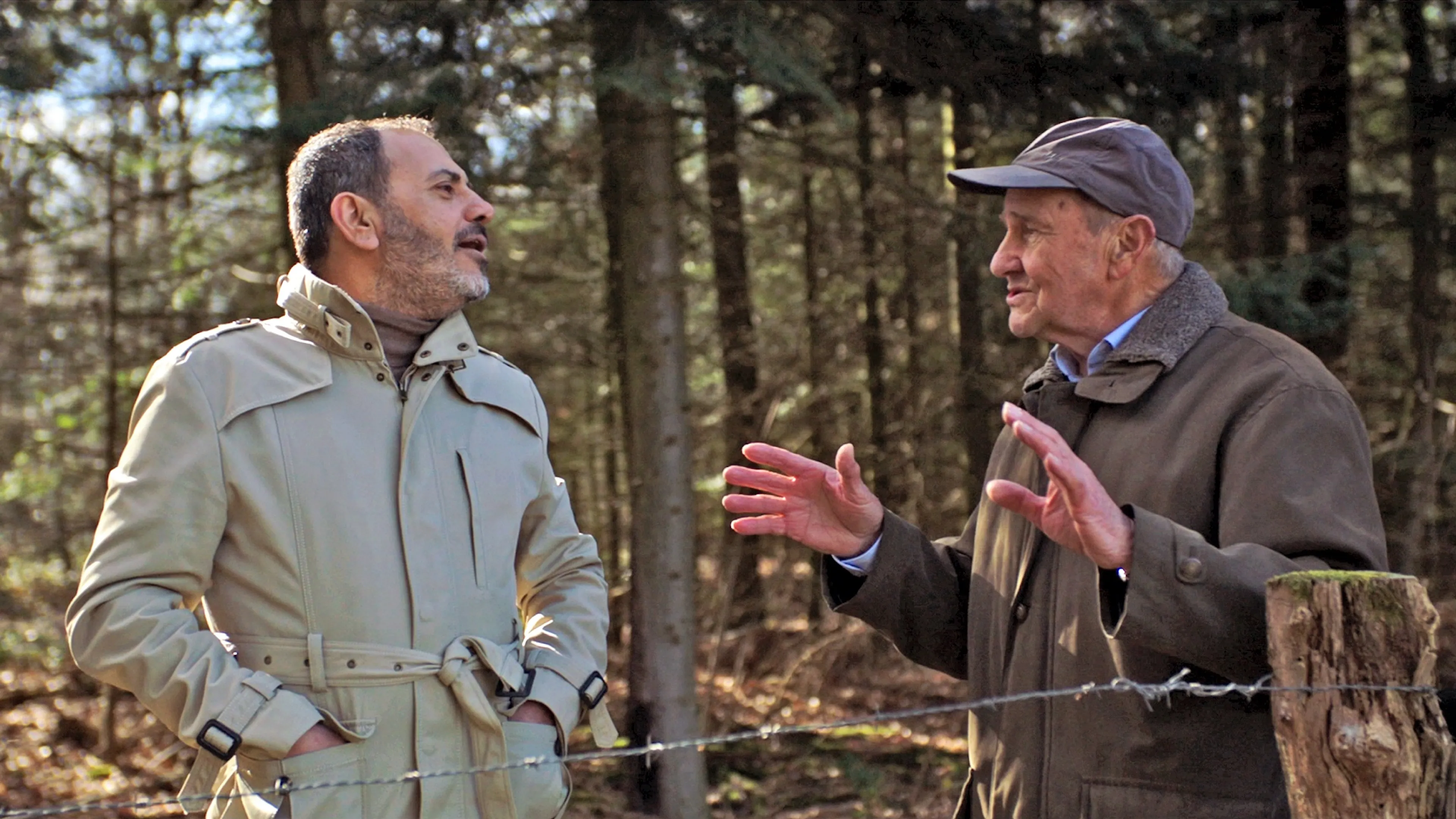 Uitgelichte afbeelding